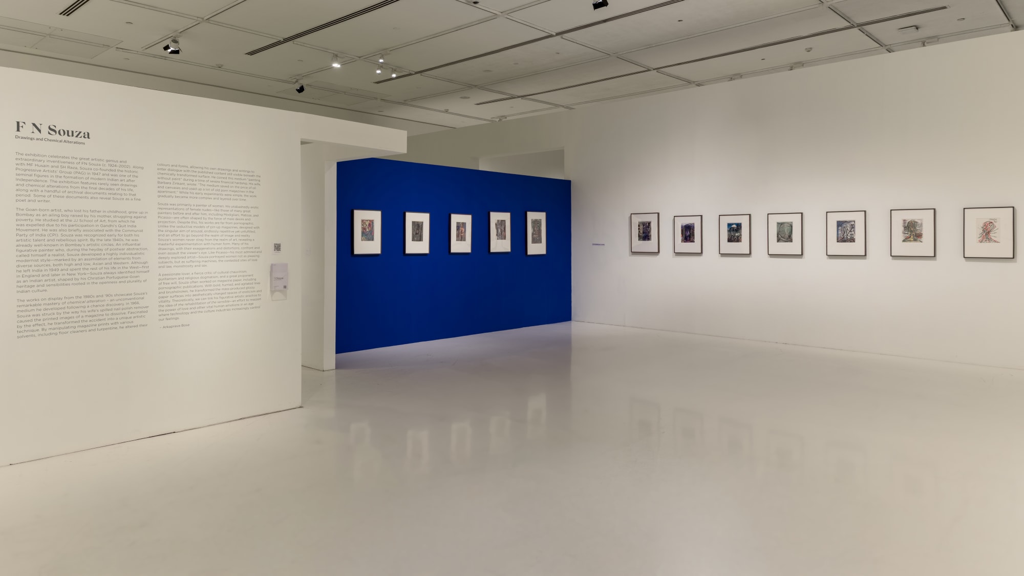 FN Souza: Drawings and Chemical Alterations