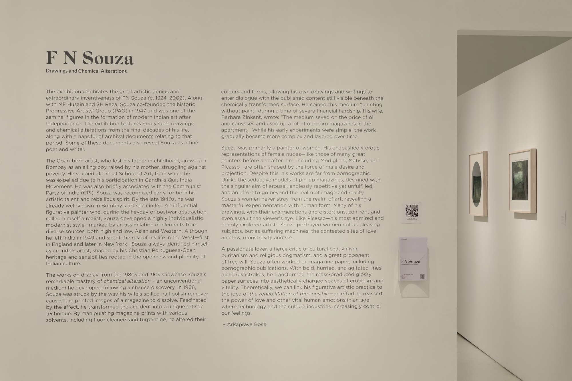 FN Souza: Drawings and Chemical Alterations