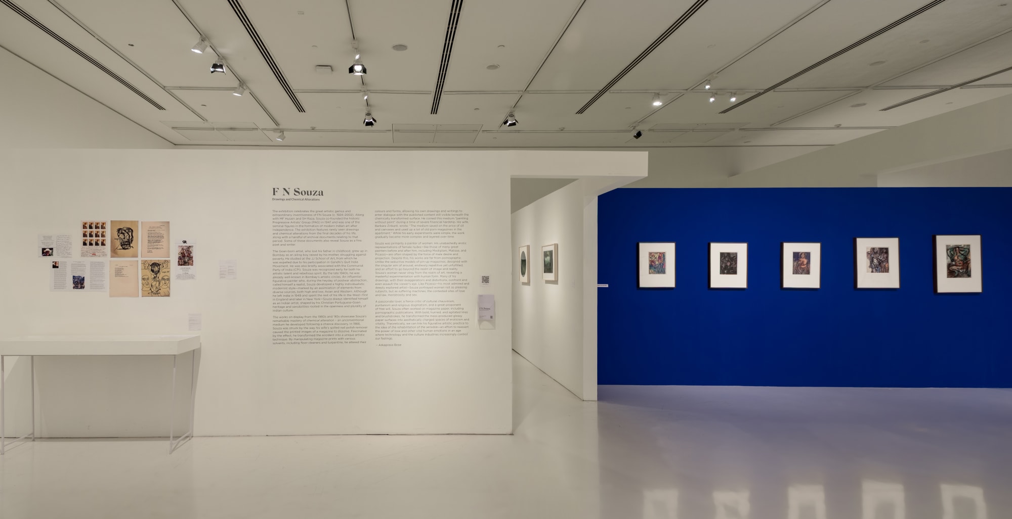 FN Souza: Drawings and Chemical Alterations