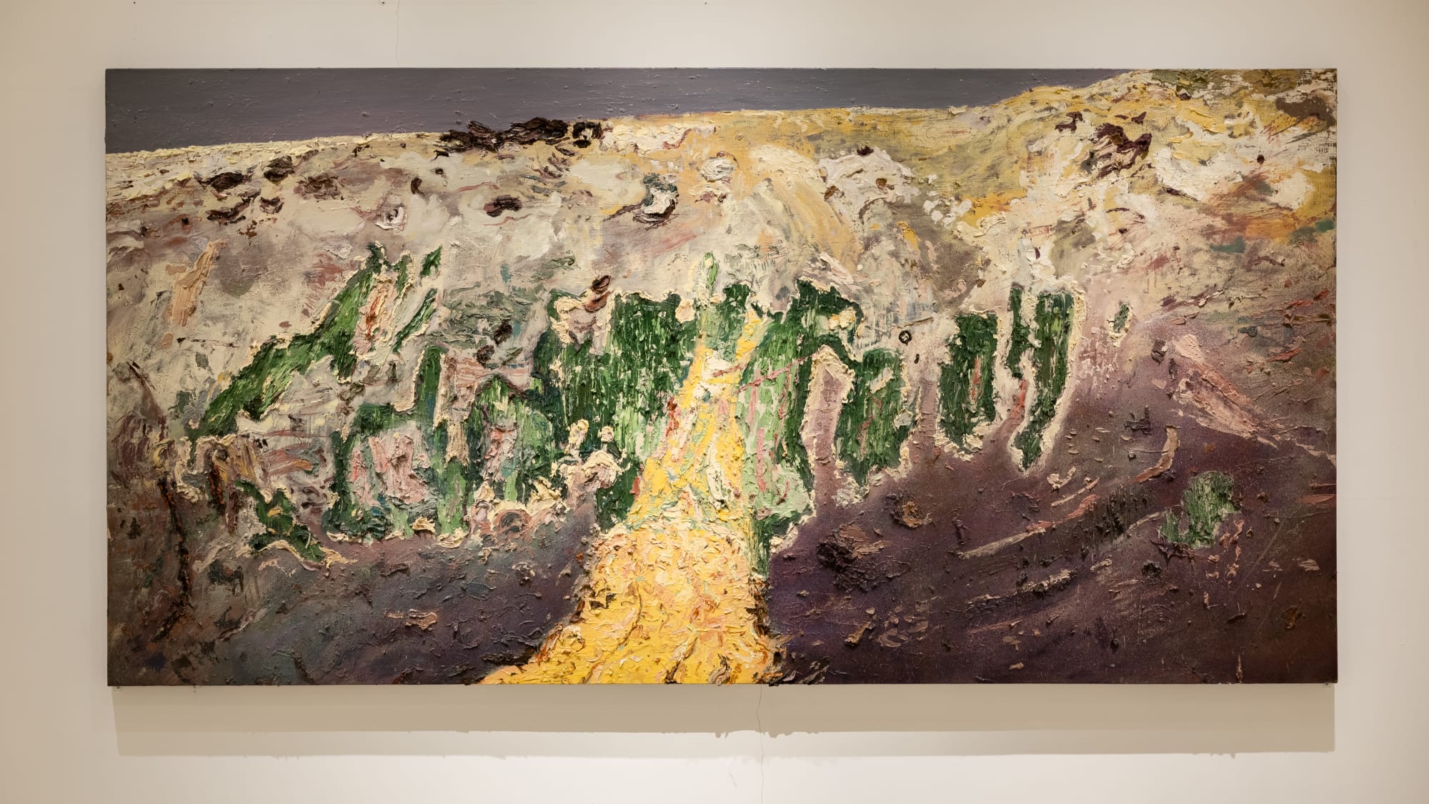 Field Notes (On the Afterlife of Trees)