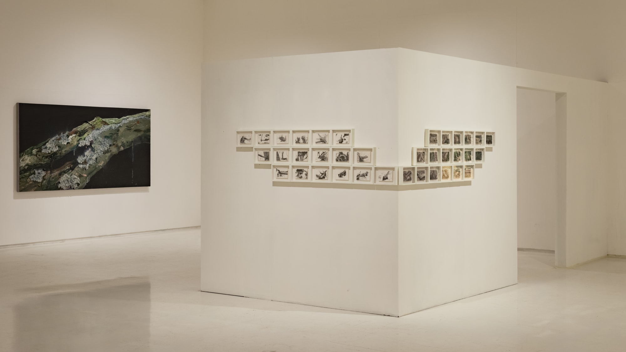 Field Notes (On the Afterlife of Trees)