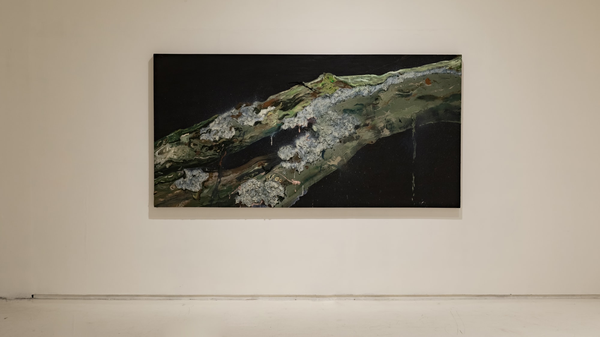 Field Notes (On the Afterlife of Trees)