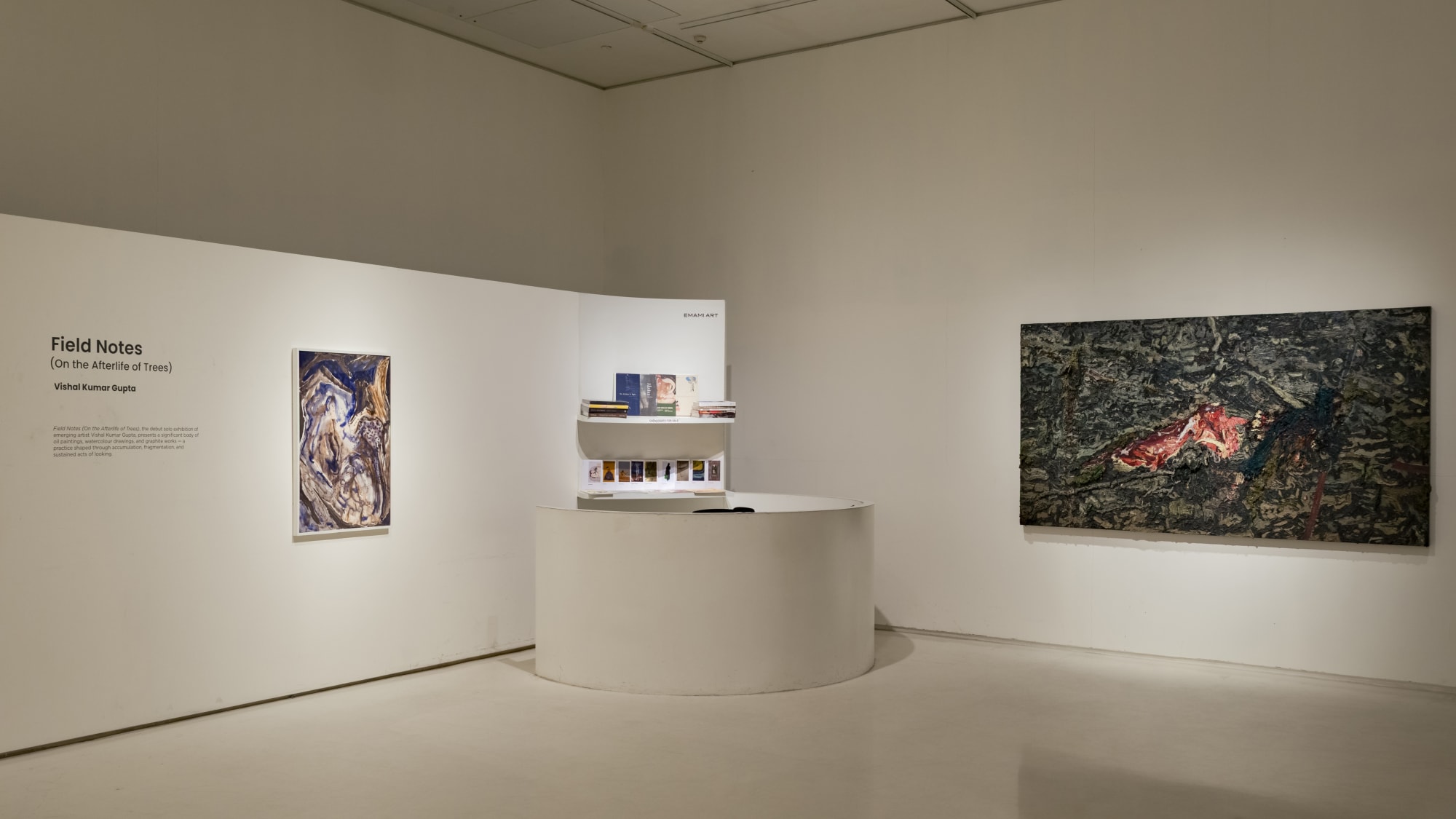 Field Notes (On the Afterlife of Trees)