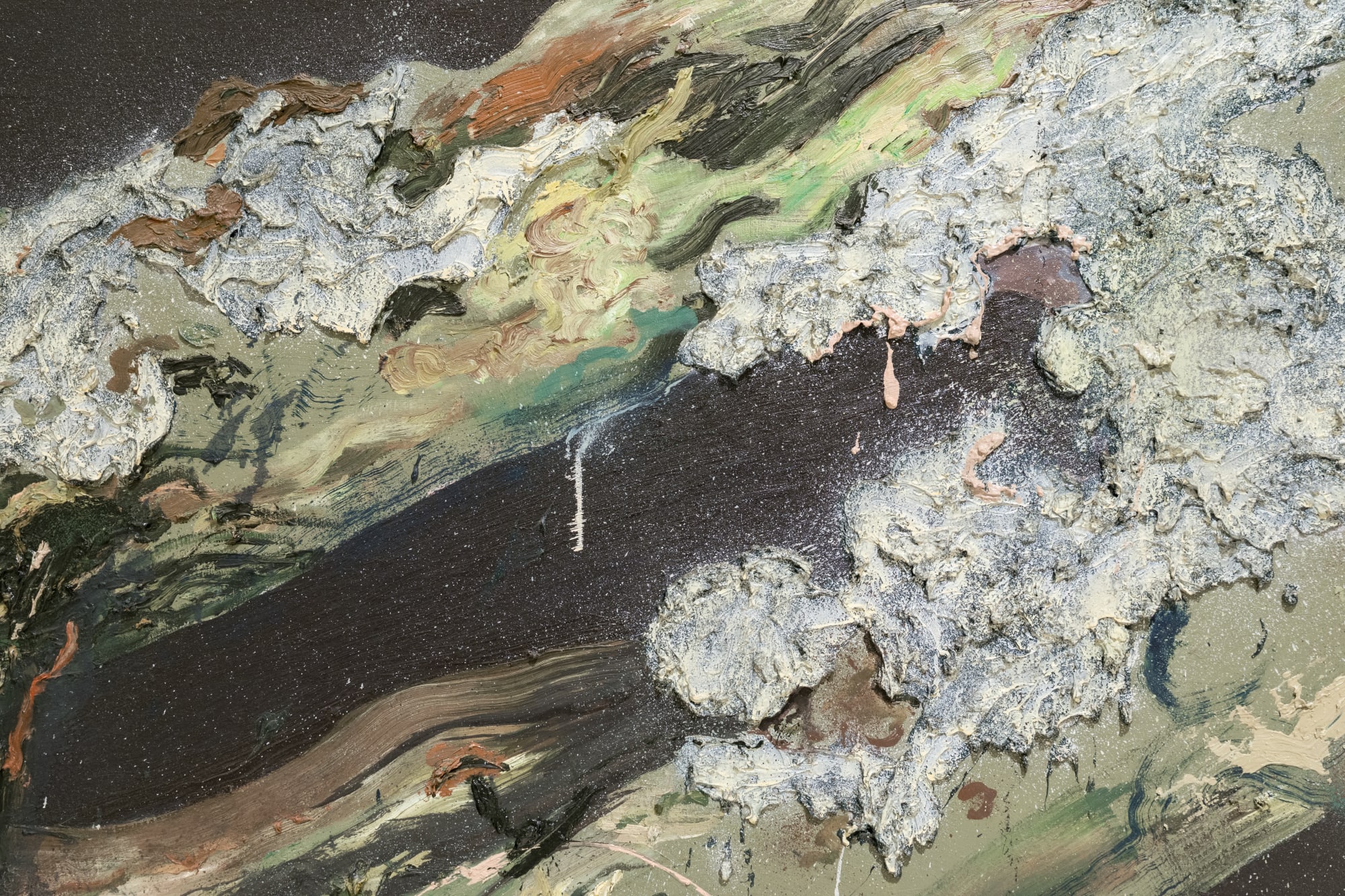 Field Notes (On the Afterlife of Trees)