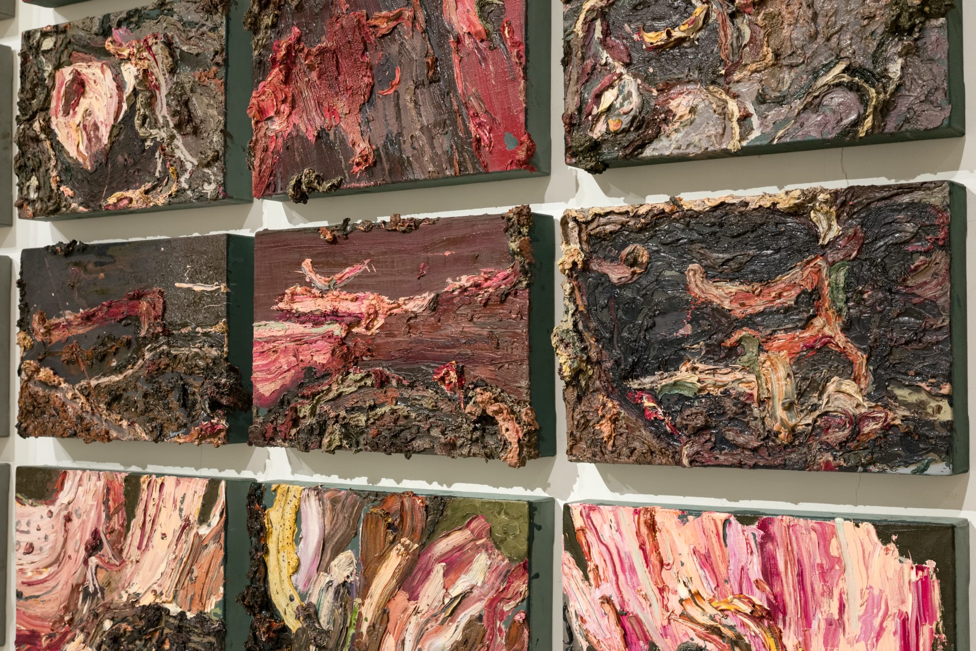 Field Notes (On the Afterlife of Trees)