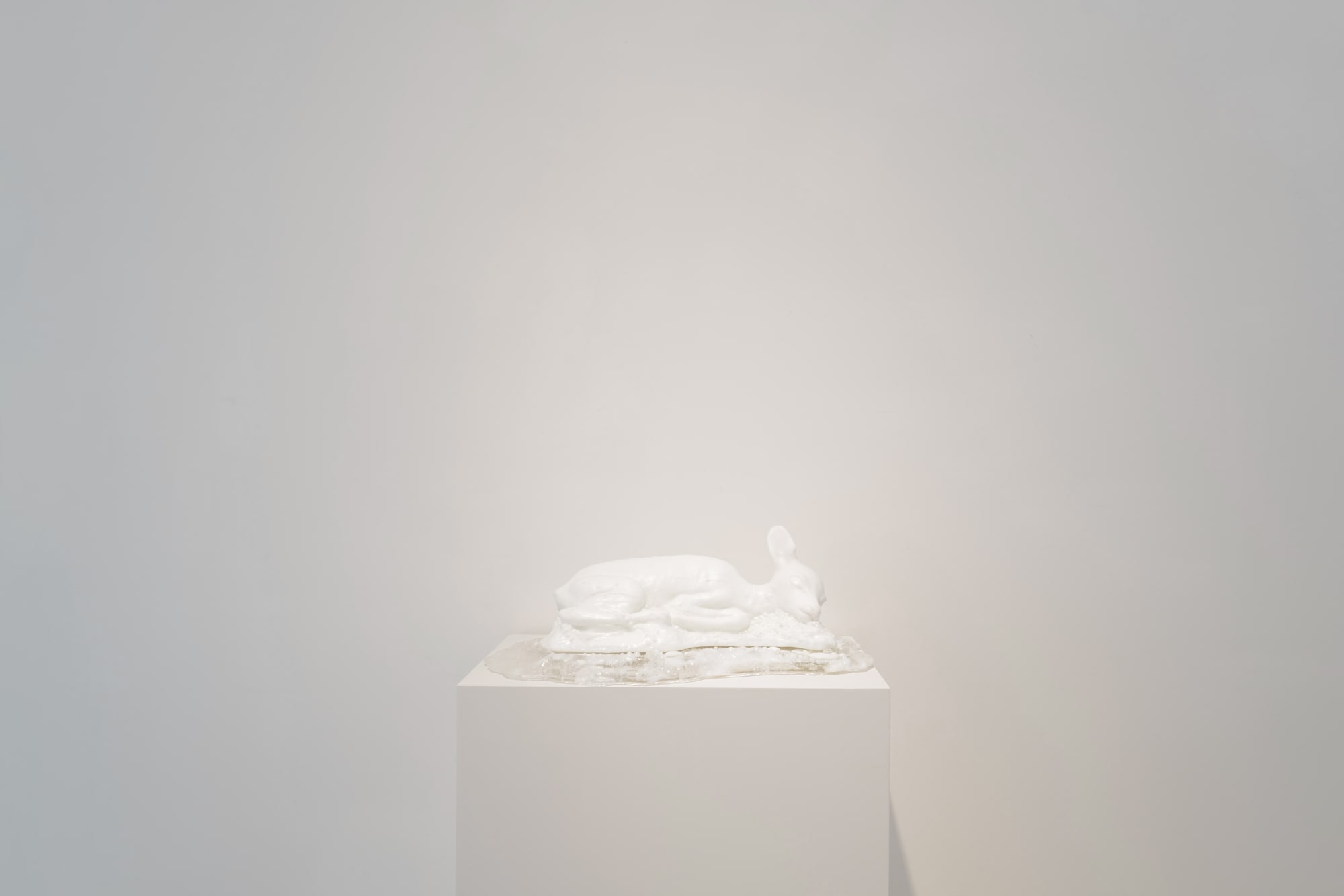 LIGHT OF A DISTANT FUTURE