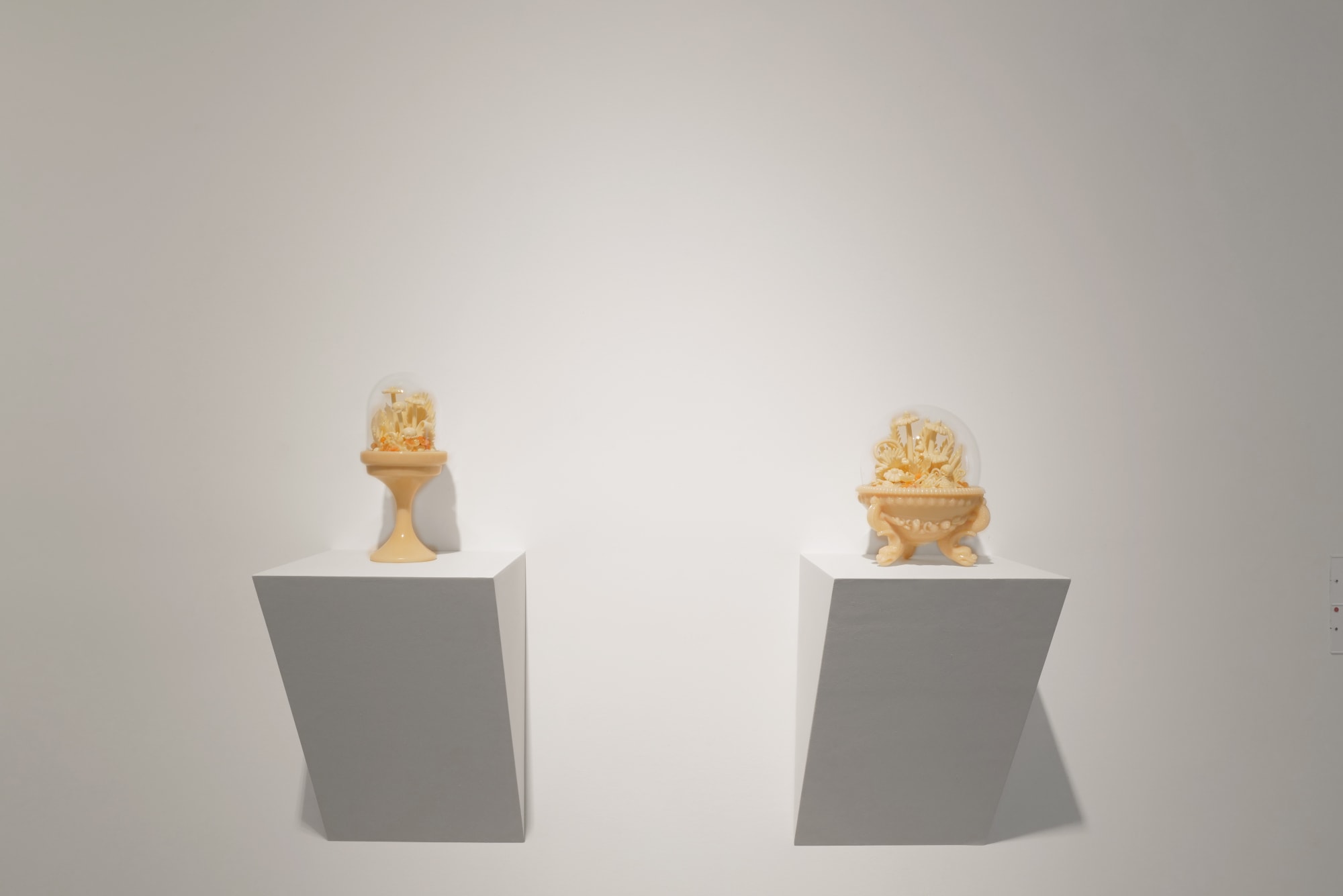 LIGHT OF A DISTANT FUTURE