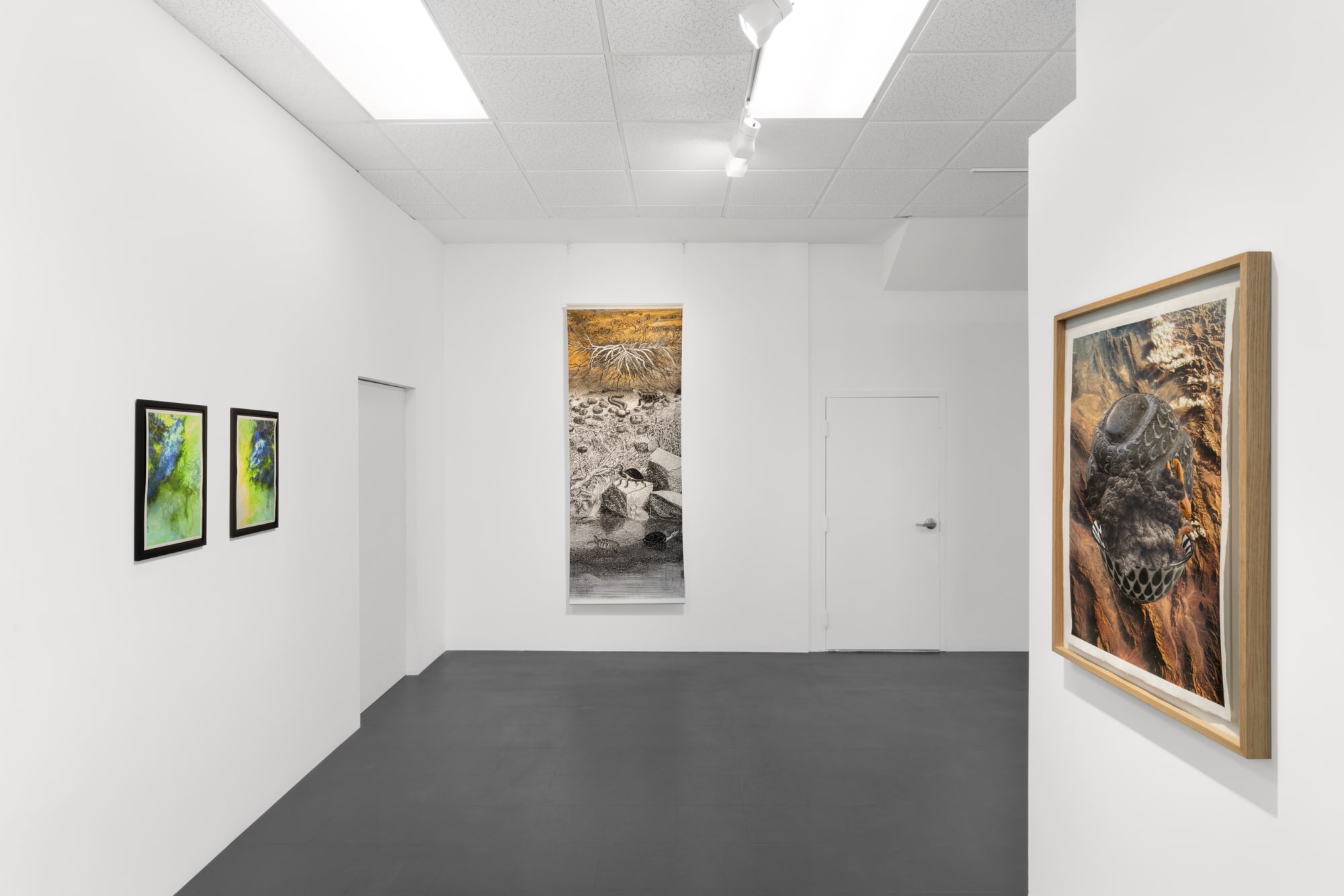 ENCODED: ART WITH NO BOUNDARIES