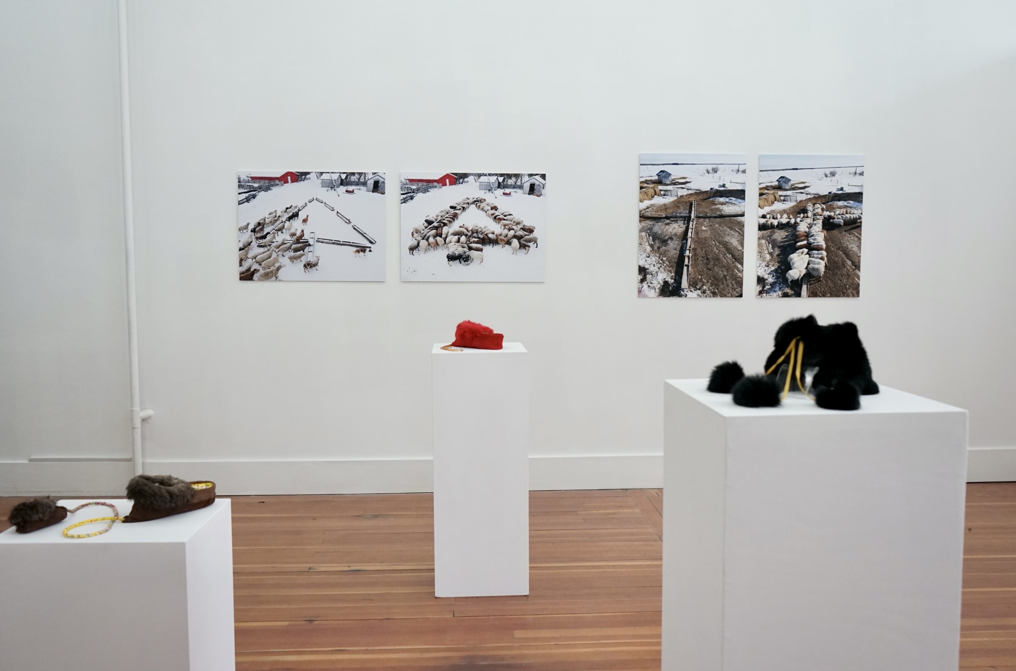 Marcy Friesen: S0E 0L0