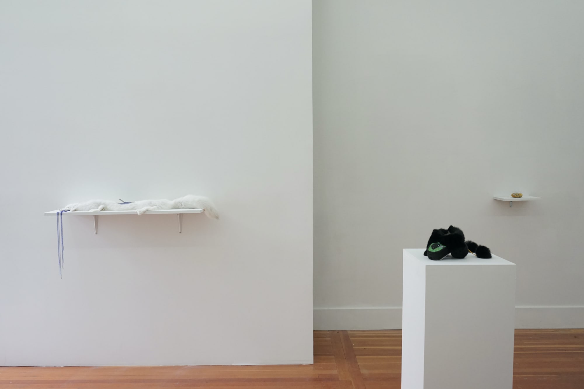 Marcy Friesen: S0E 0L0