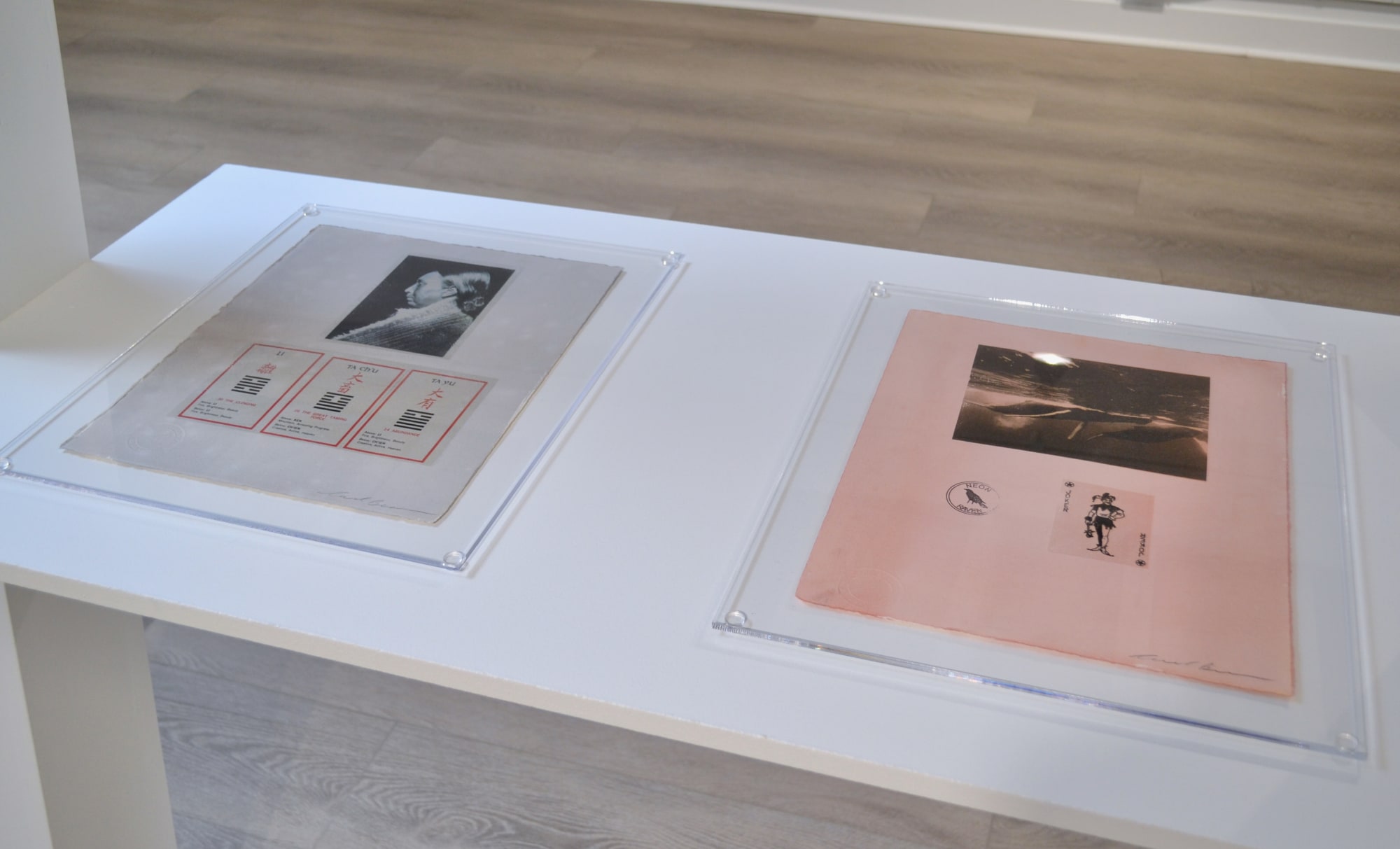 Carl Beam: Works on Paper