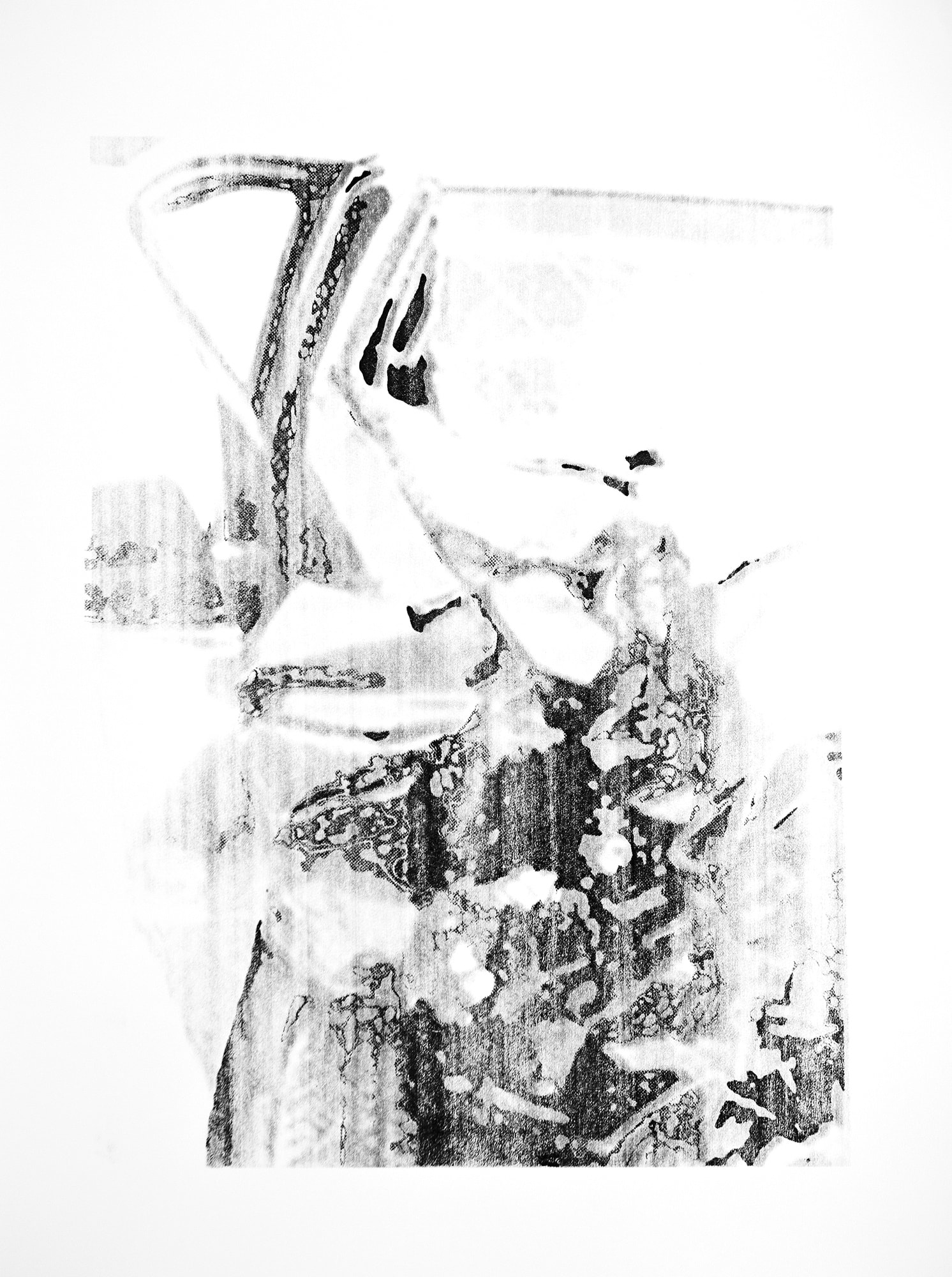 ASFAN 2014 PHOTOGRAPHED RESEARCH OBJECTS AND MAPS, SILK SCREEN ON HAHNEMULE PAPER