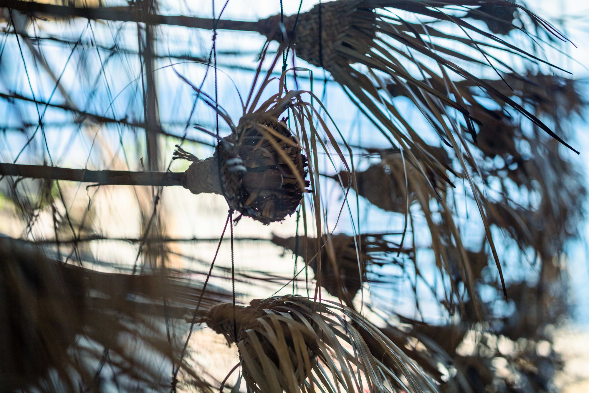 Photo by Takahiro Tsushima.