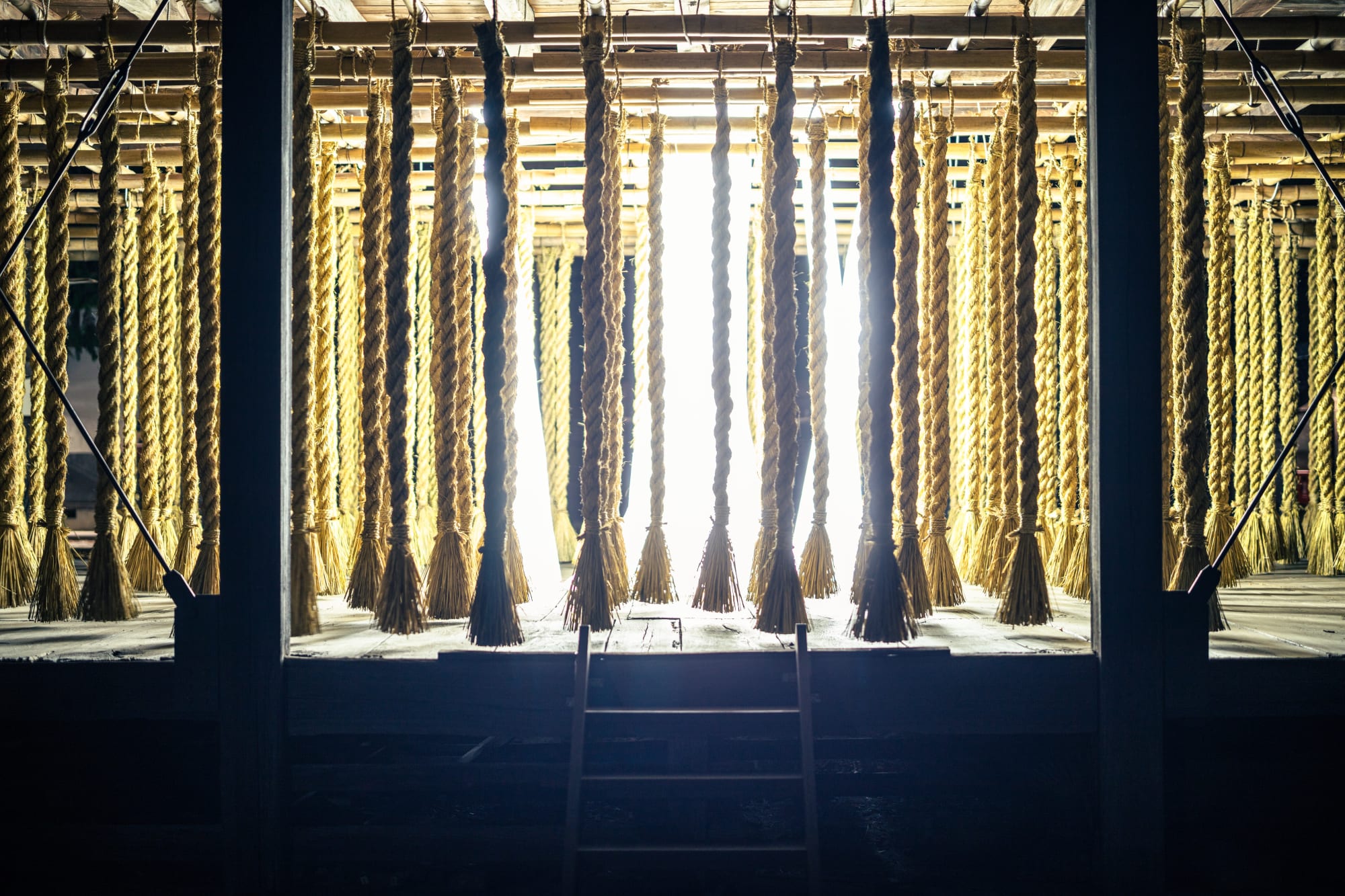 Photo by Takahiro Tsushima.