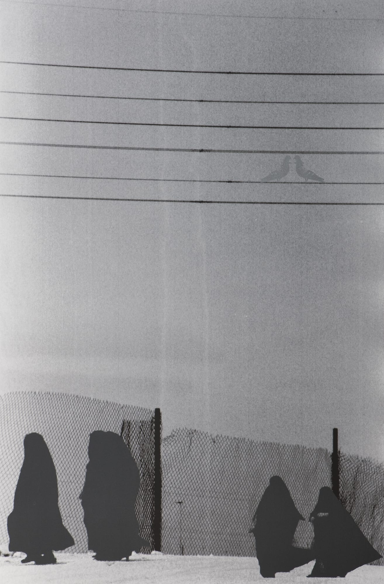 LANDSCAPE OF THE MIND V | مشهد من طبيعة الفكر٥ 2009-2010 ARCHIVAL GICLÉE PRINTS ON HAHNEMULE PAPER WITH SILK SCREEN INK | مطبوعات GICLÉE المحفوظة على ورق HAHNEMULE بحبر شاشة حرير 101 X 152 CM EDITIONS 5 + AP