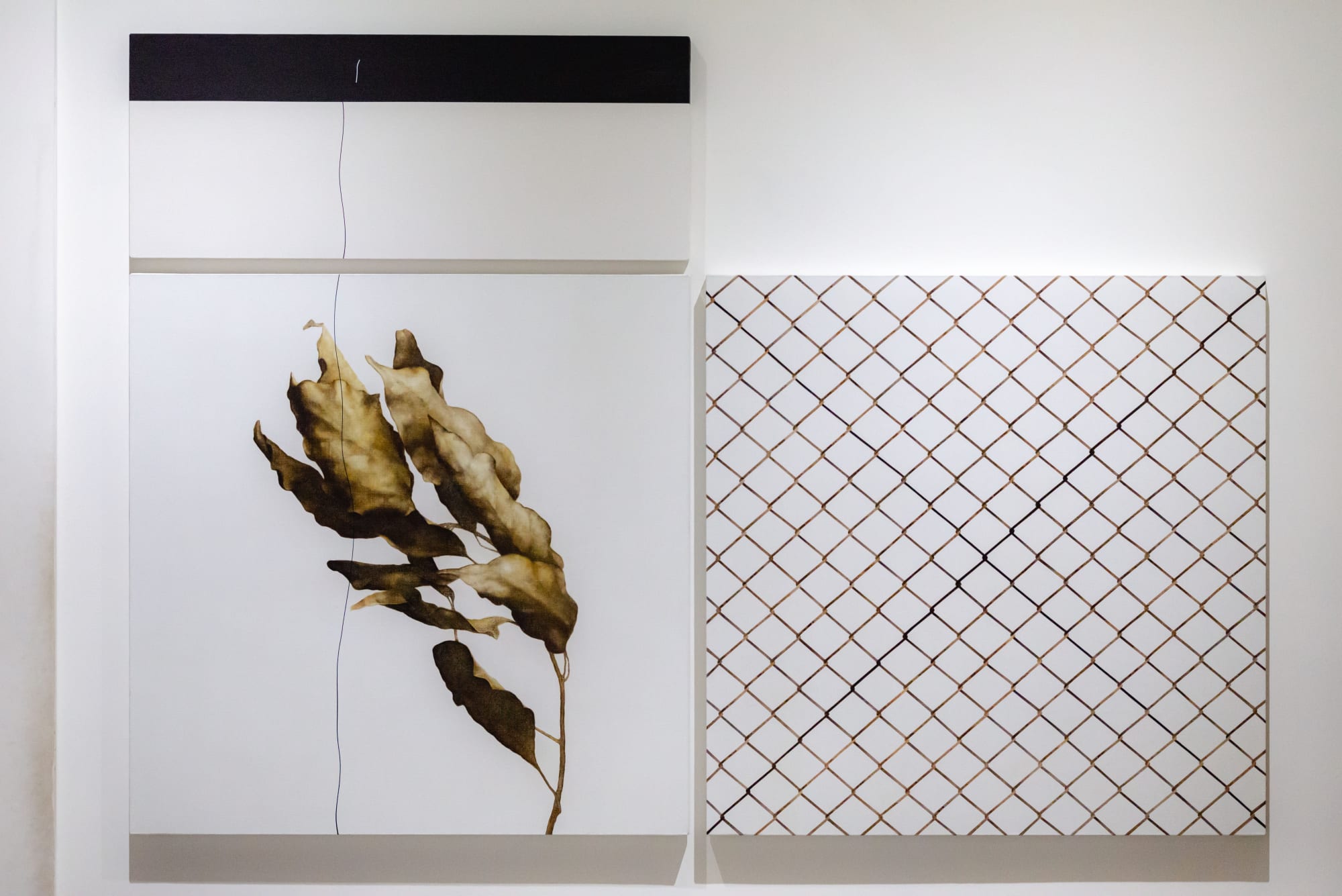 Chang Chun-Hao：Ubiquitous Net