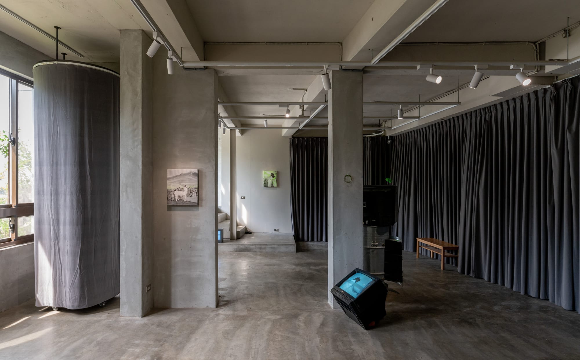 溫佳寧：老鼠並不笨