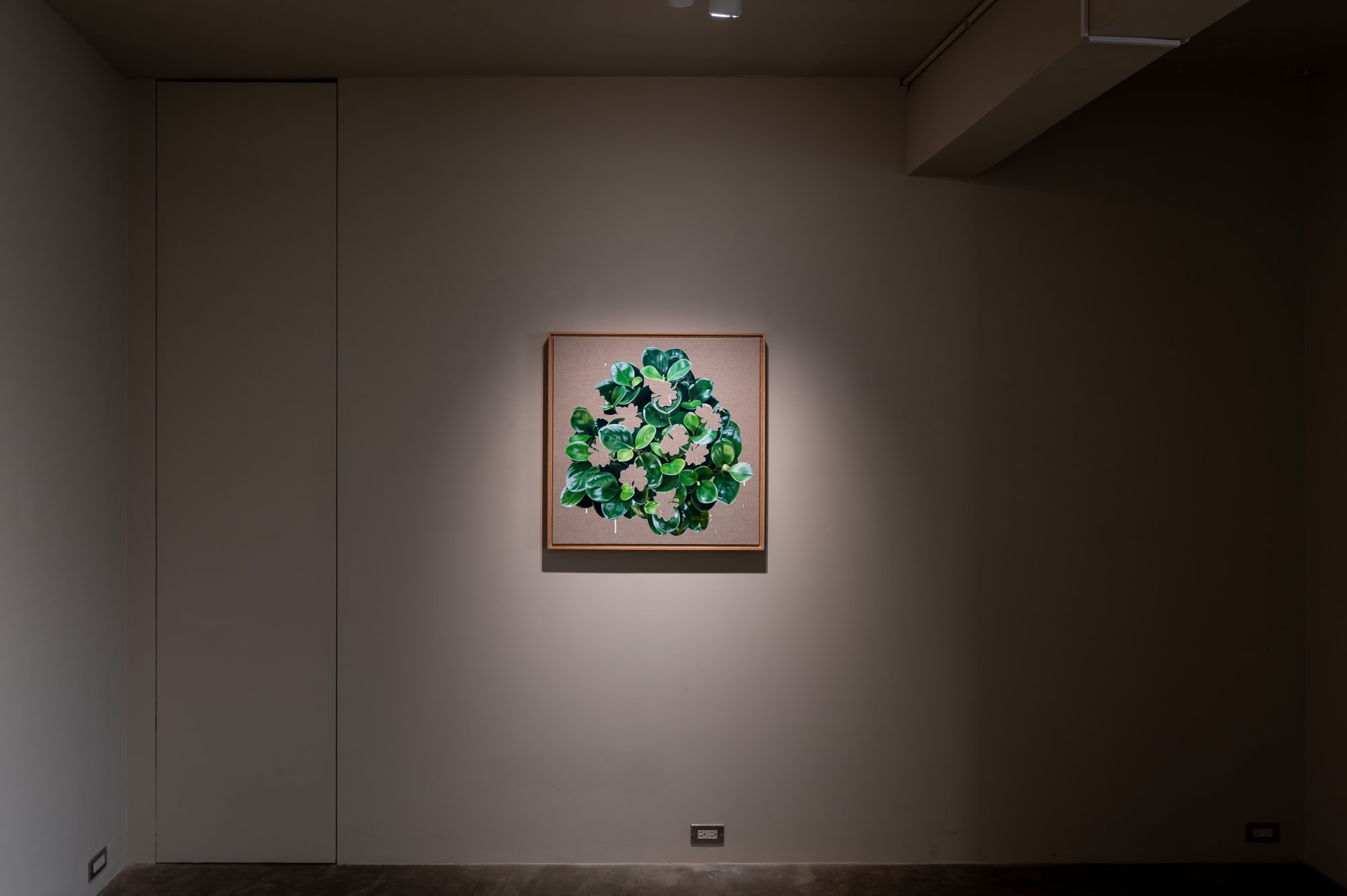 HUANG SHUN-TING: PLANTS & PLANTERS