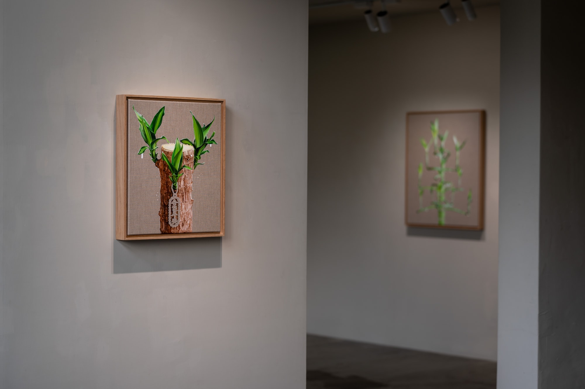 HUANG SHUN-TING: PLANTS & PLANTERS