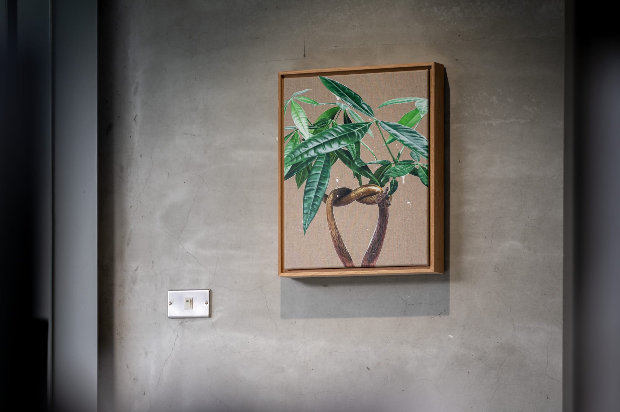 HUANG SHUN-TING: PLANTS & PLANTERS