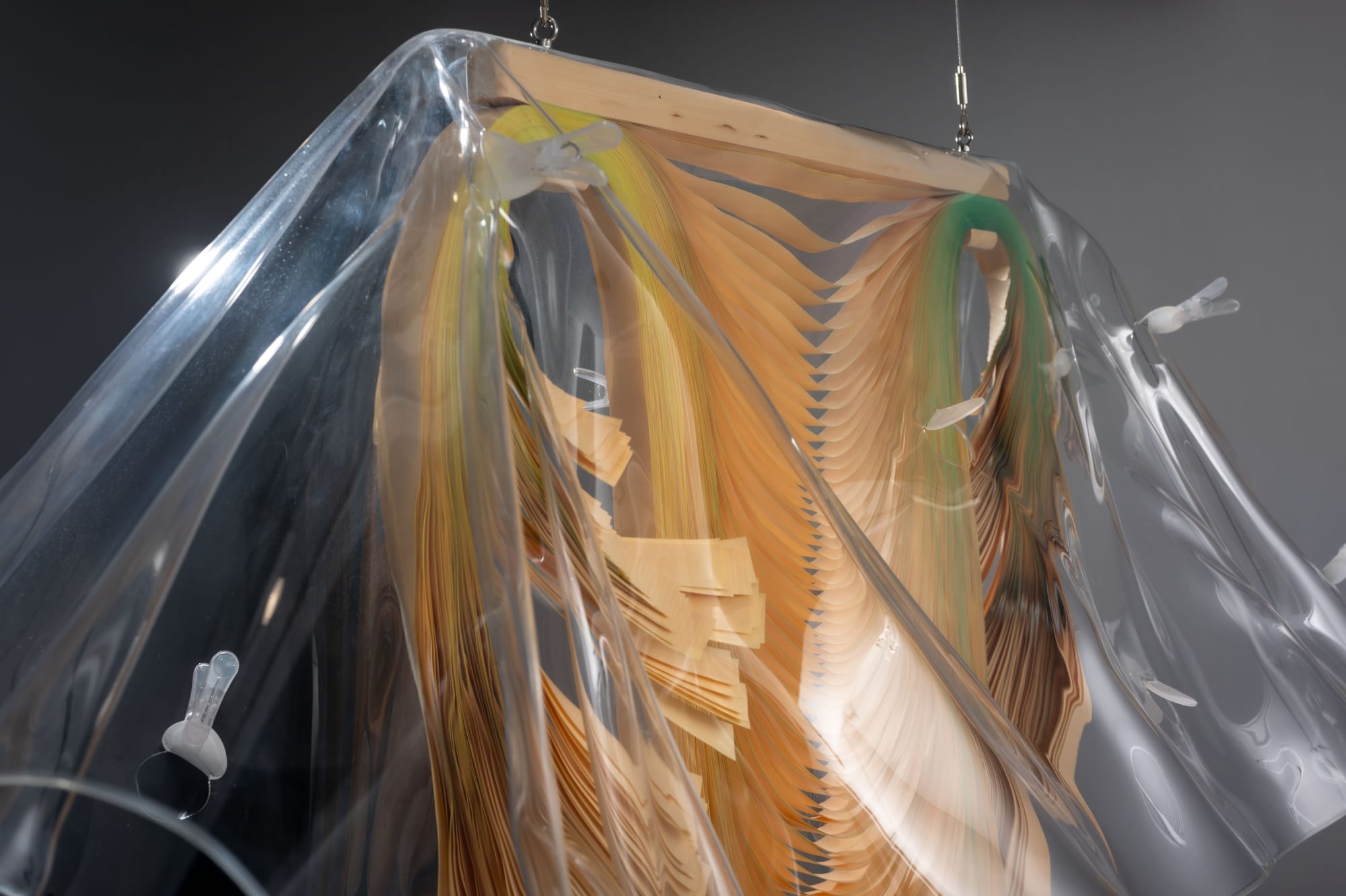 耿傑生：回到自然捲