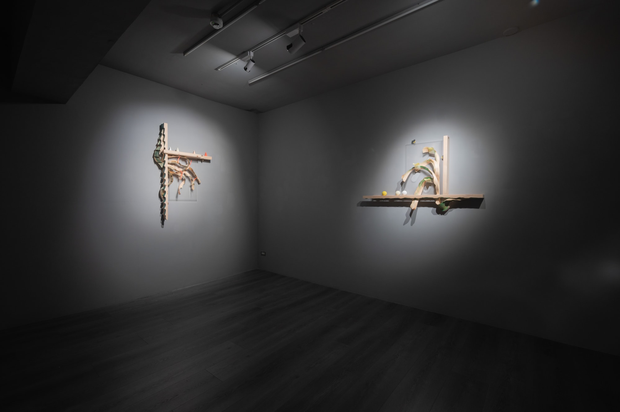 耿傑生：回到自然捲