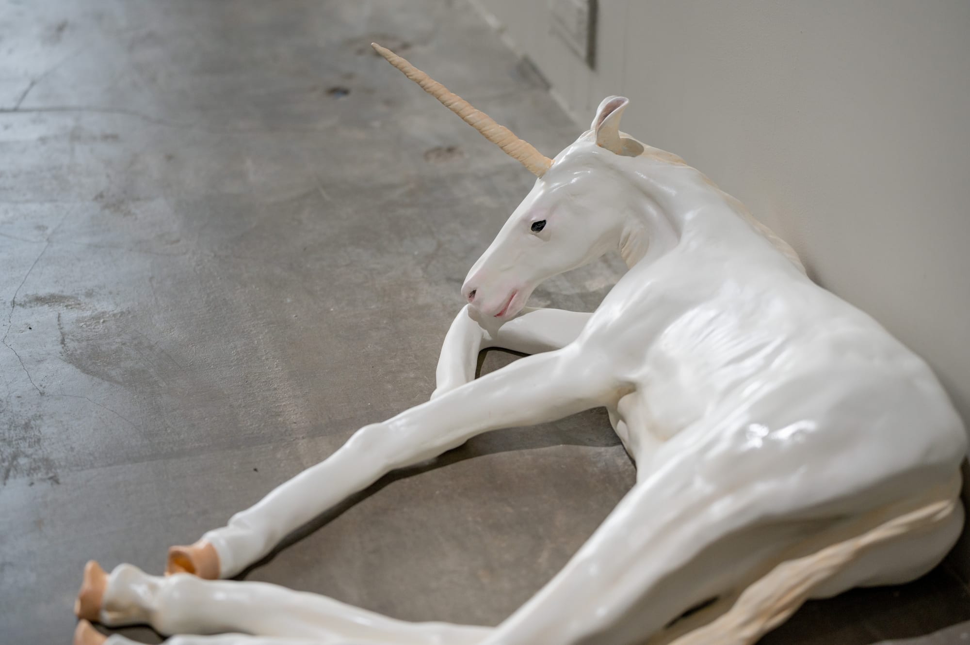 周晏旭：Summoner of Birds