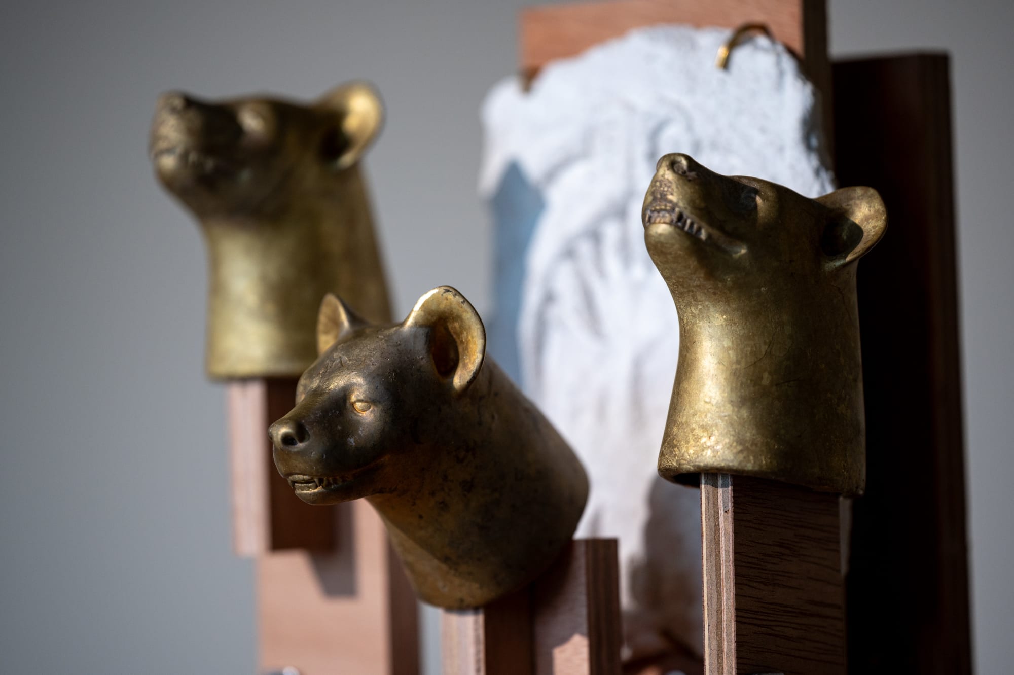 王鴻川：一個史前人類之旅