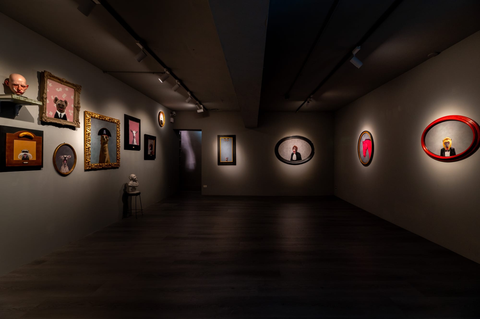 Daniel Sueiras Fanjul：How to be Animal