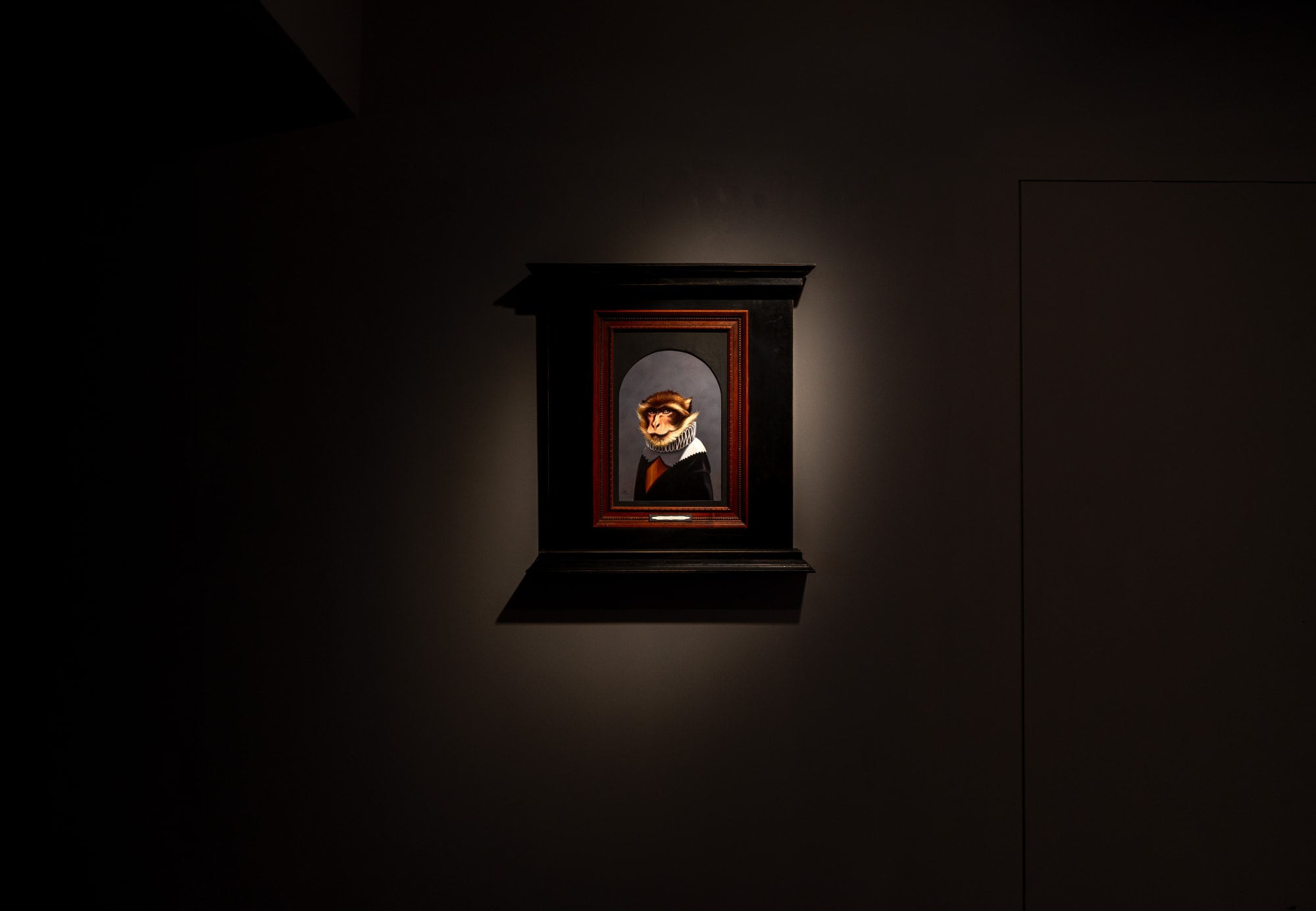 丹尼爾．蘇維勒斯．范弗：忘了自己是動物的人類