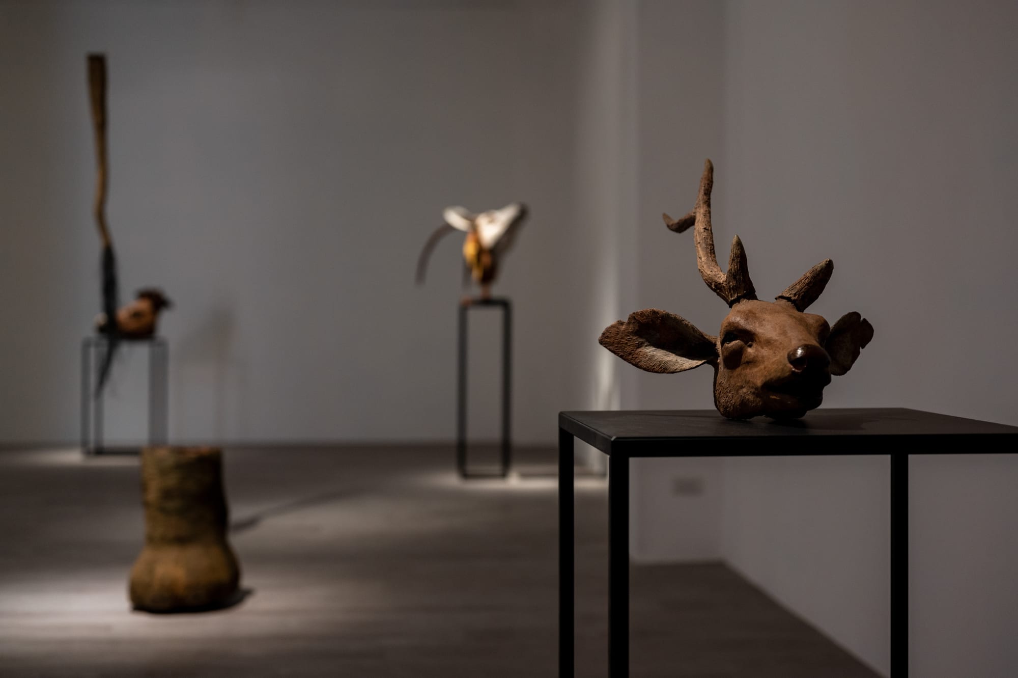 Chen Yu-Erh：A Fleeting Eternity