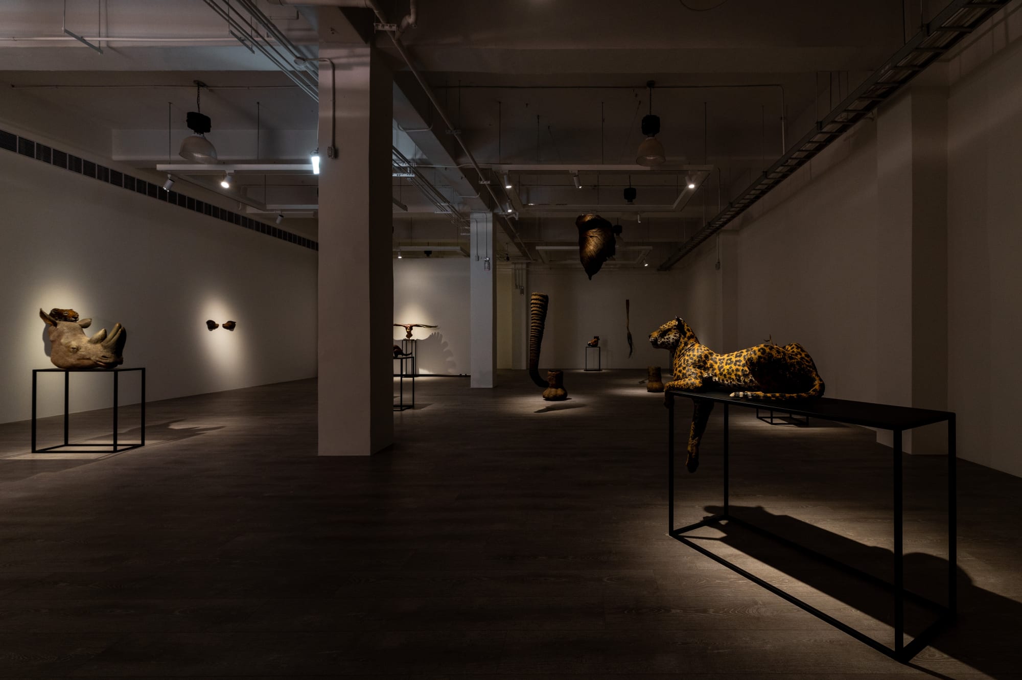 陳佑而：每一個倏忽即逝的永恆