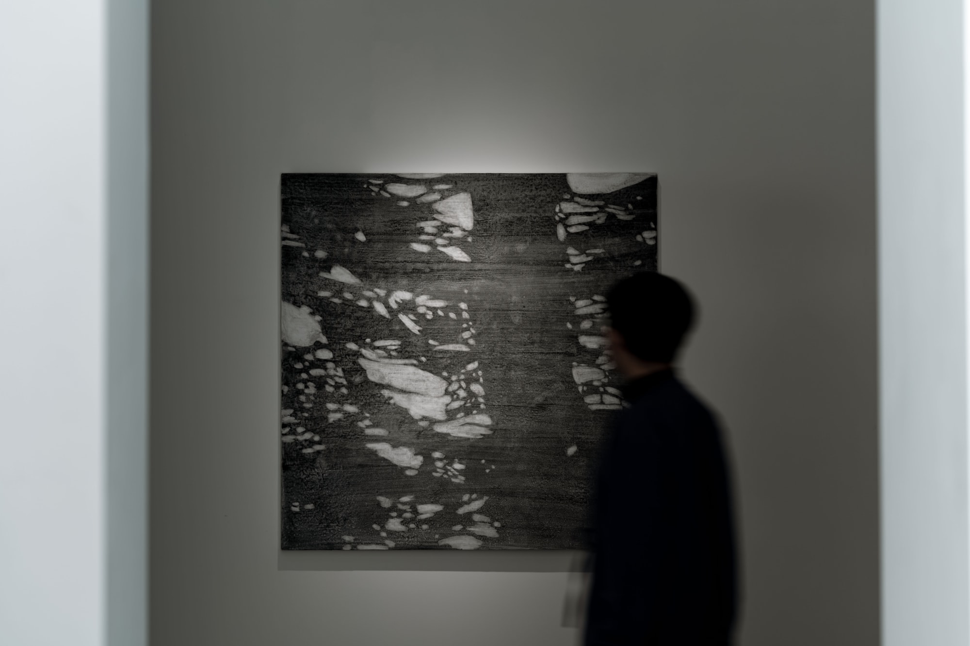 Li Shih-Wen：The Wild