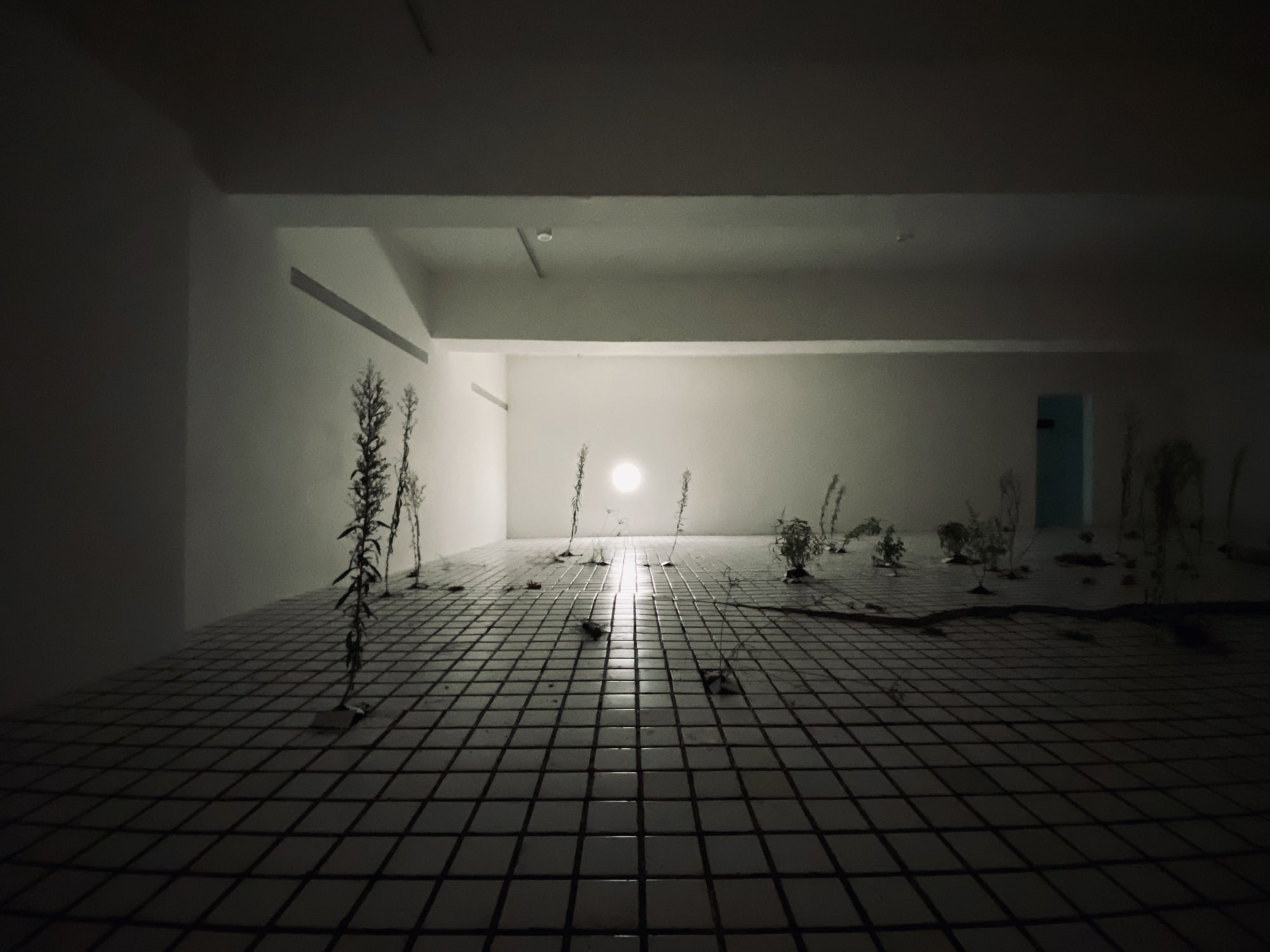 Wang Yu-Song：Being in Both Formosa