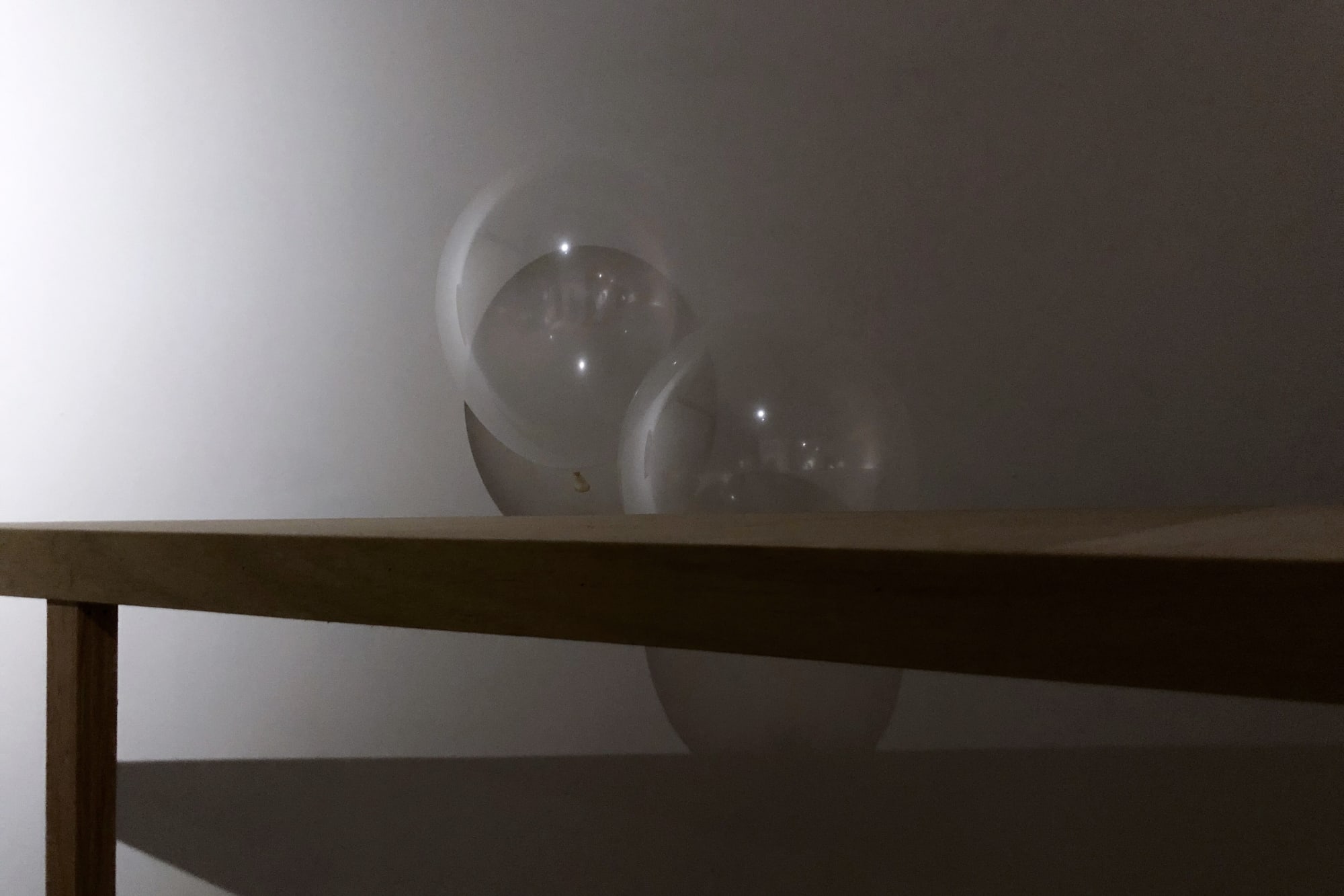 吳家昀：失去之歌