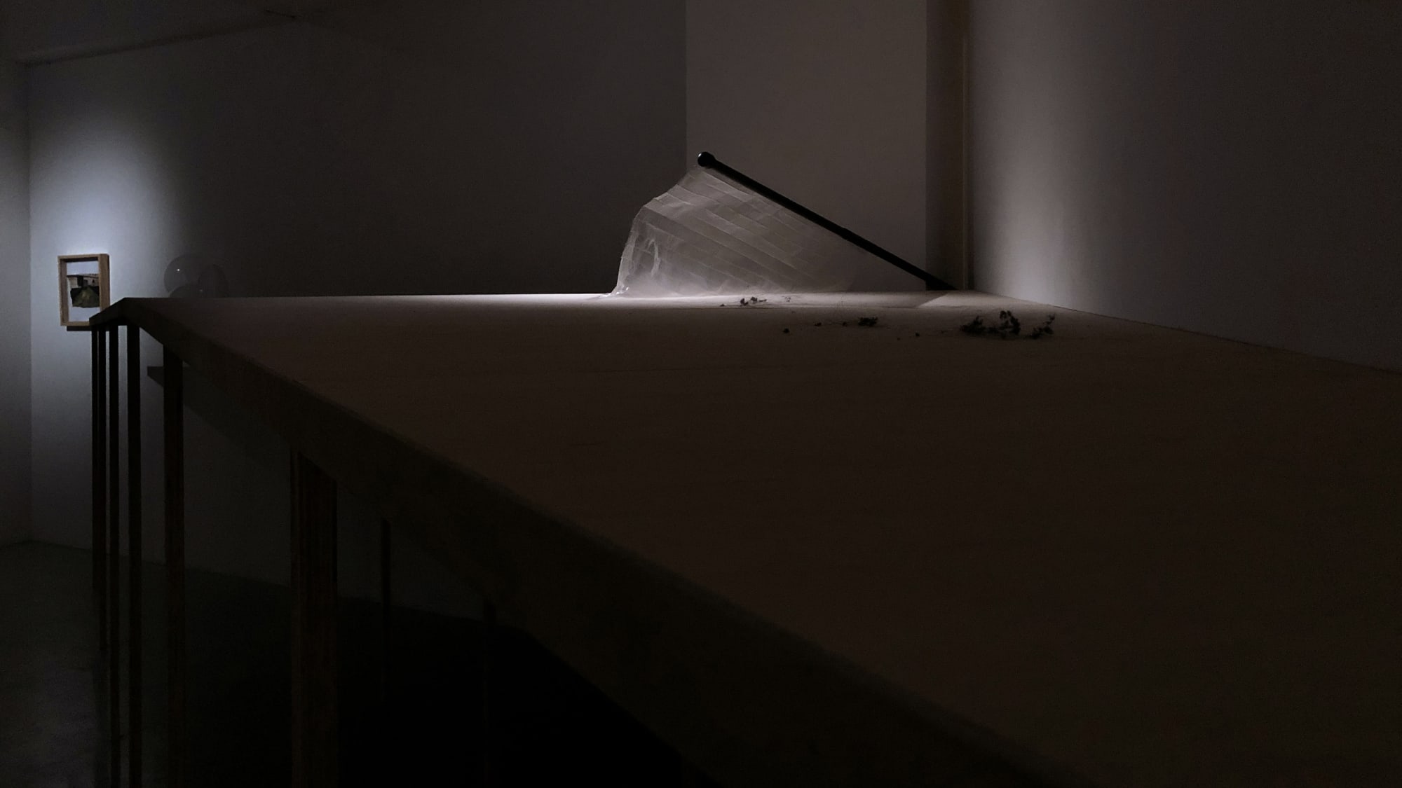 吳家昀：失去之歌