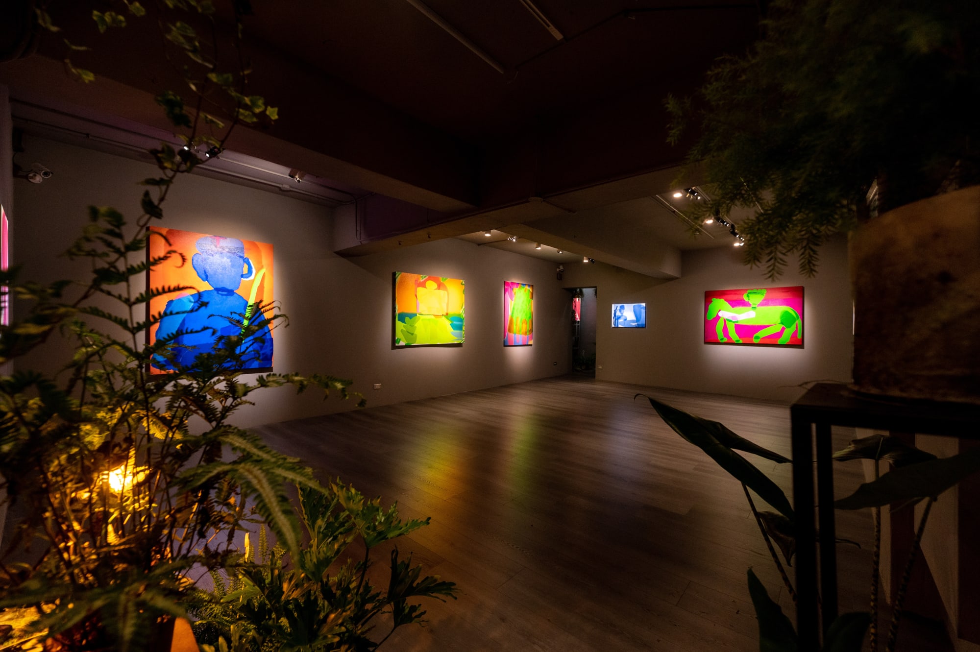 Mai Yokoyama：Hidden Mountain