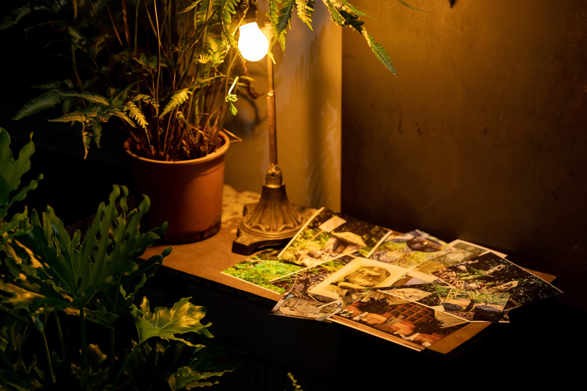 Mai Yokoyama：Hidden Mountain