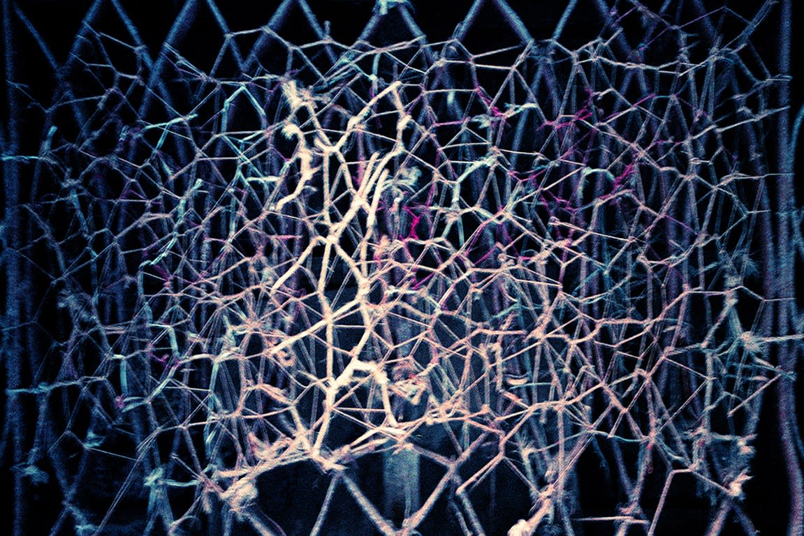 Net - Barcelona