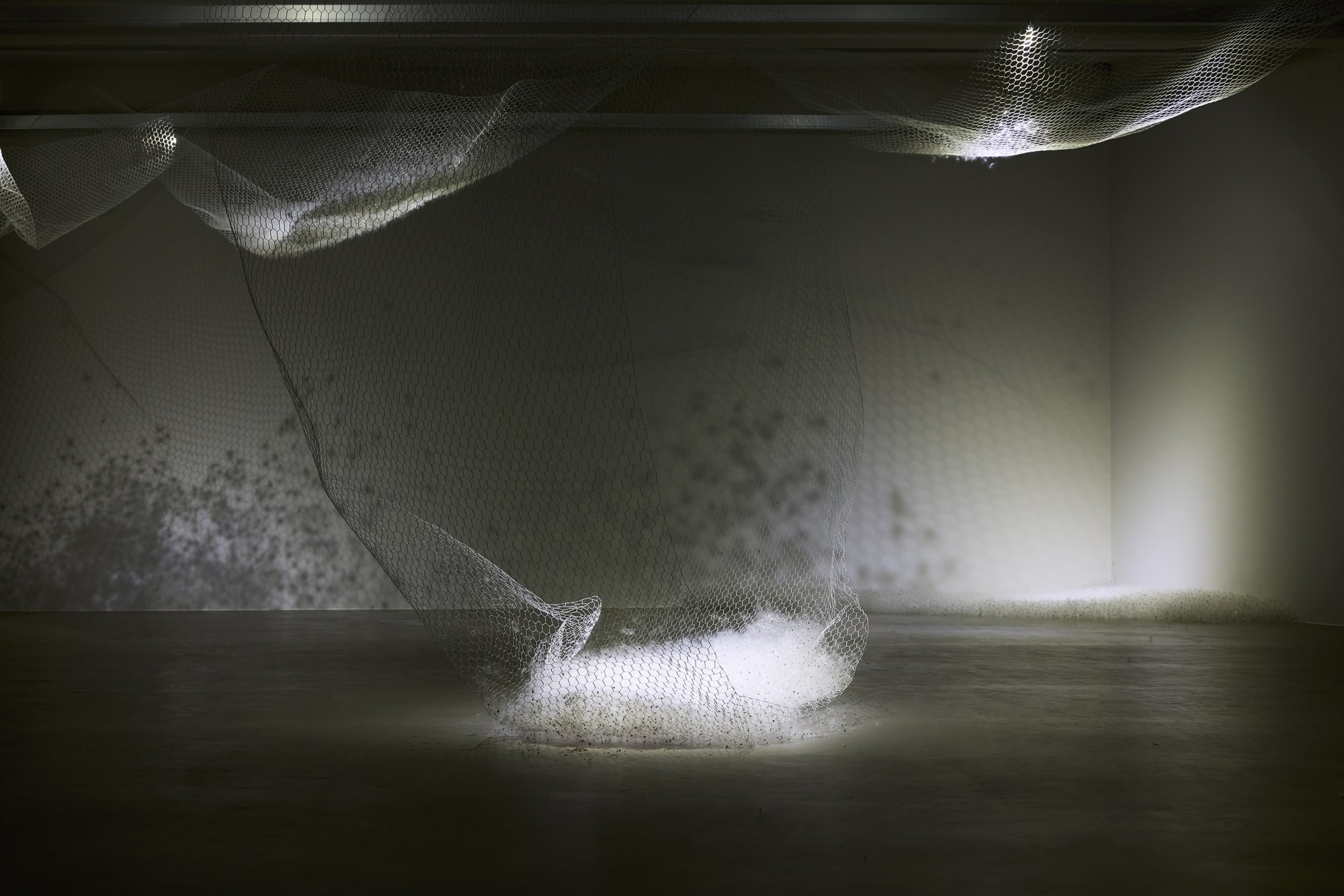 When the water rises