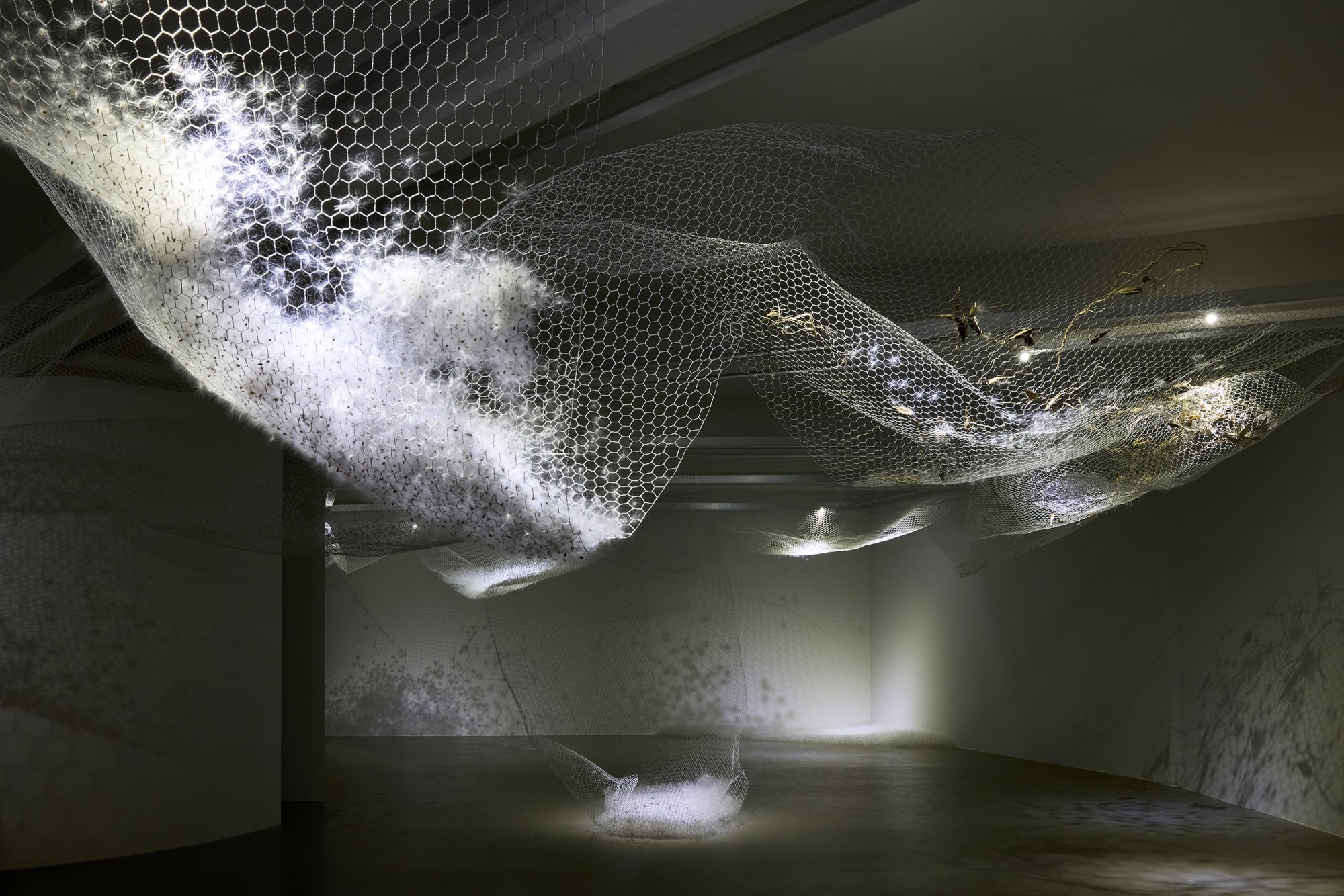 When the water rises