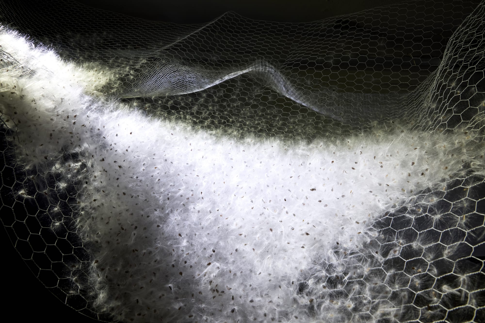 When the water rises