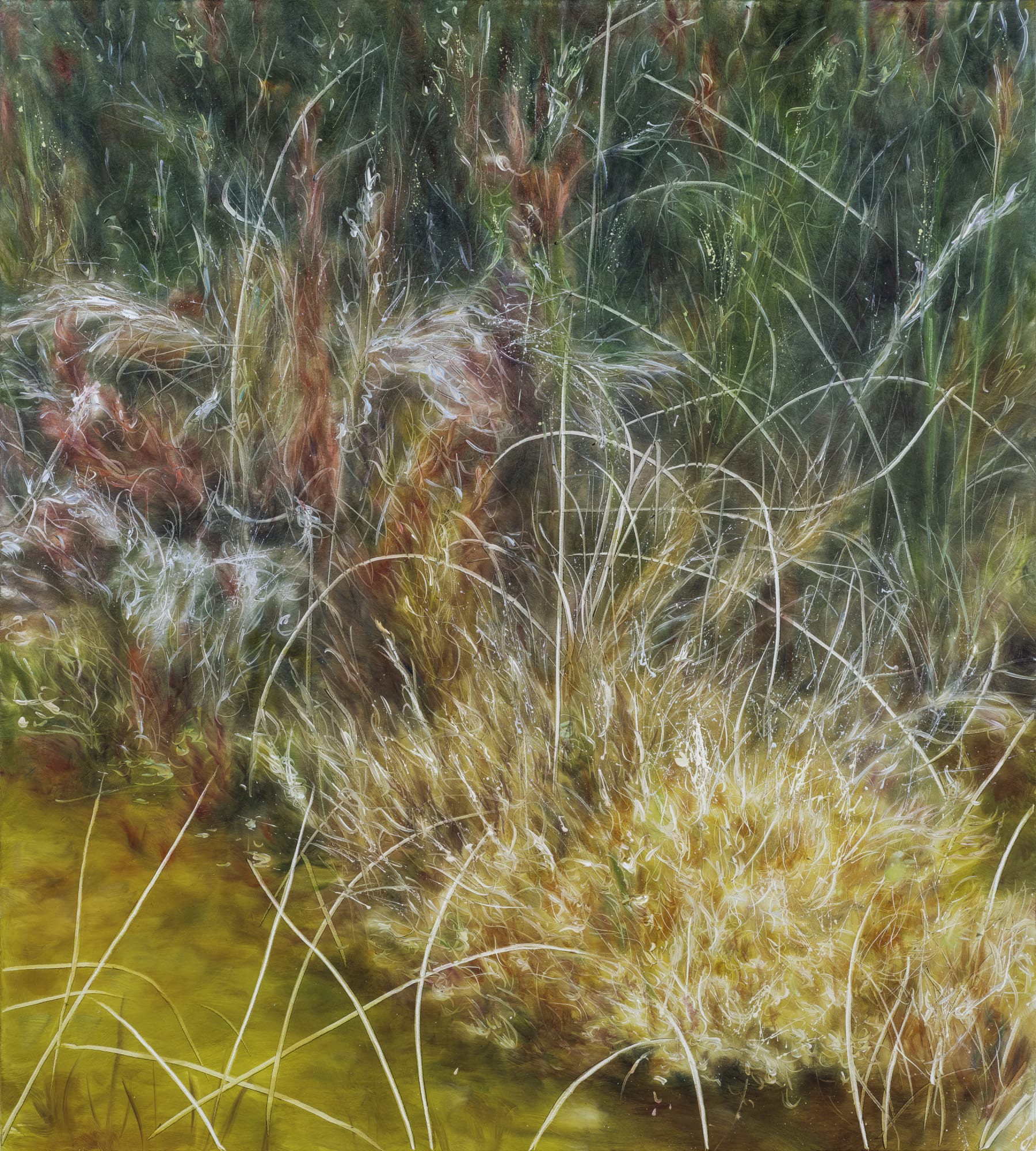 Traces of Gaze