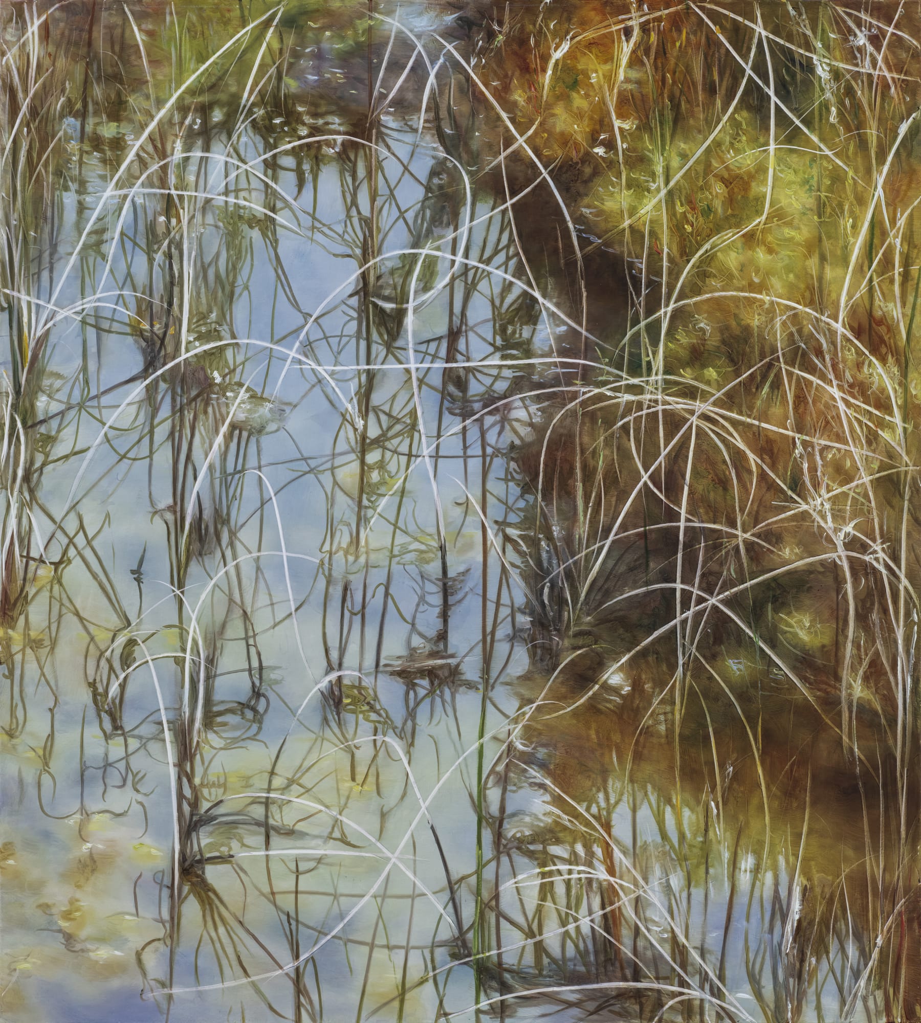 Traces of Gaze