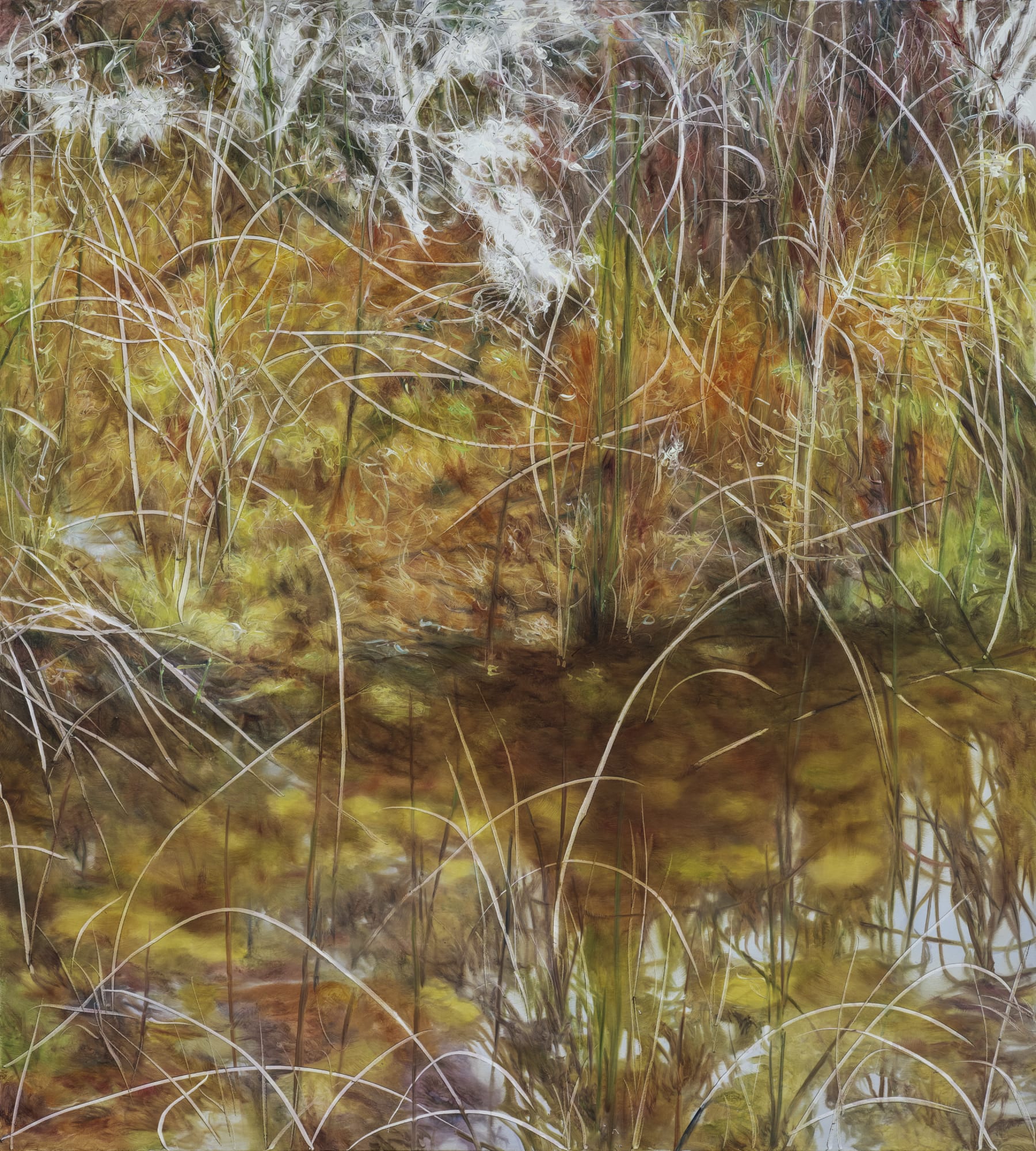 Traces of Gaze
