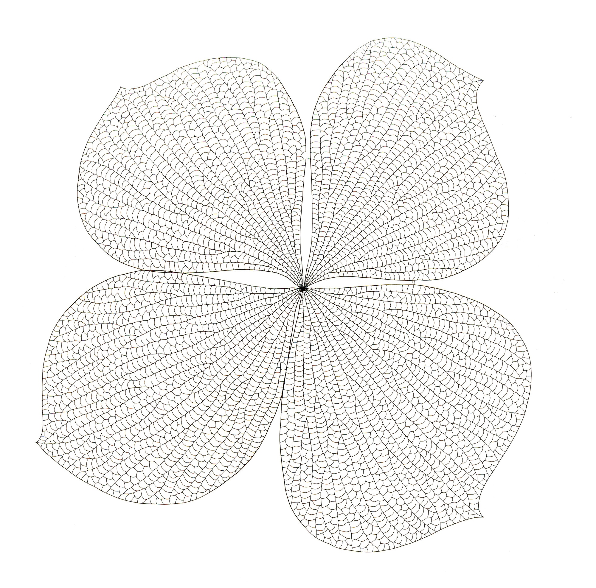 Jung Kwang-Ho The Flower 106280, 2010 Copper wire 280x280x10cm 45,000USD