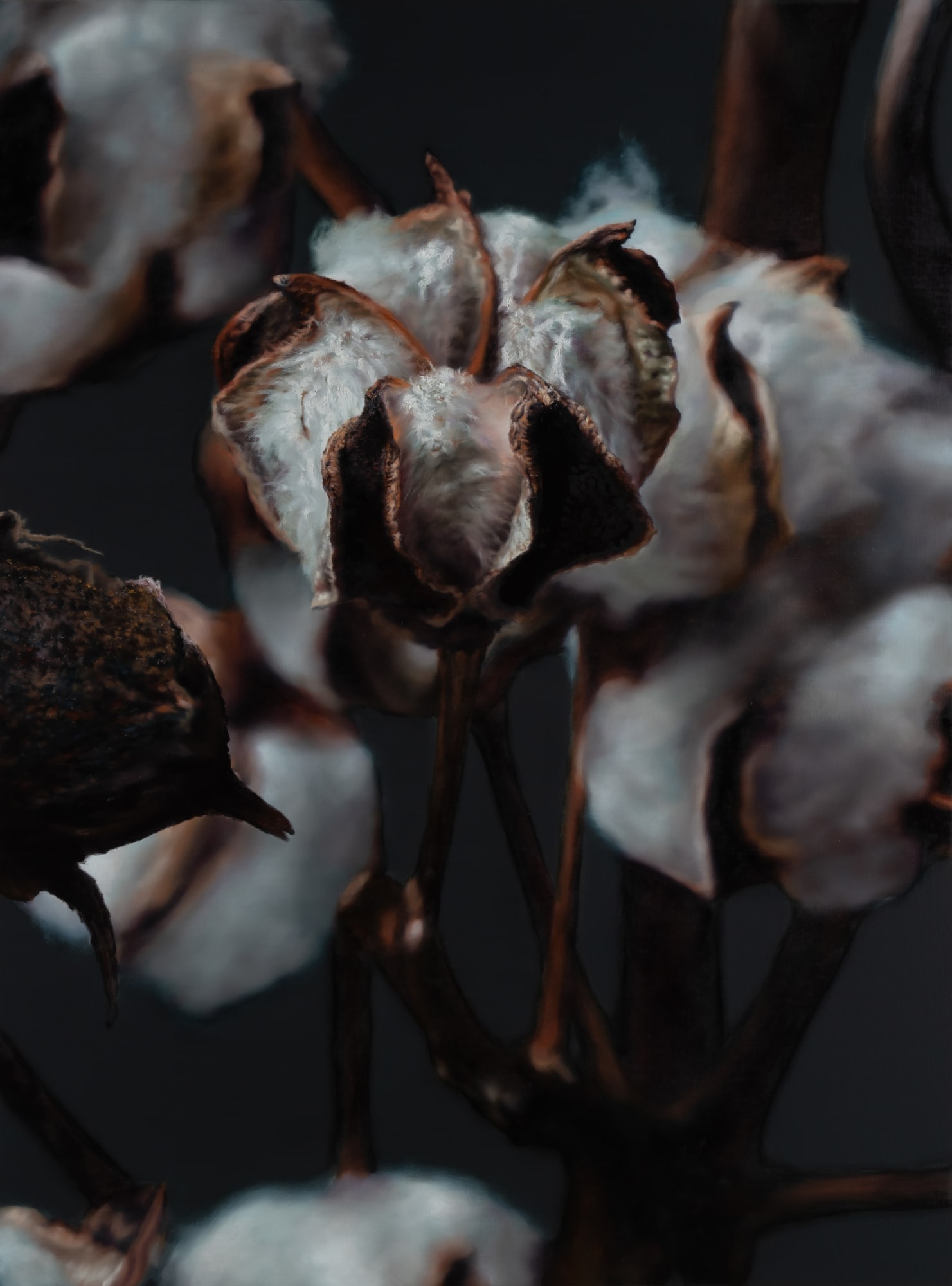 Kang Kang Hoon Cotton, 2024 Oil on Canvas 130.3x97cm SOLD