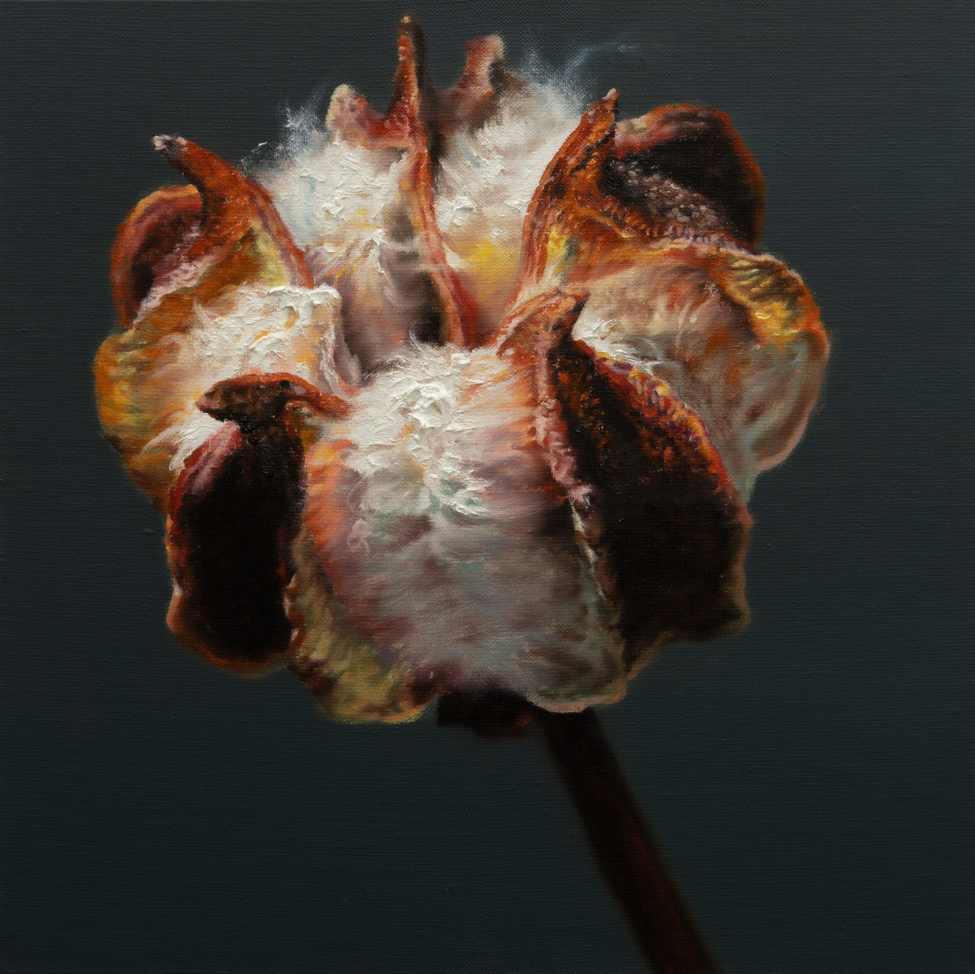 Kang Kang Hoon After Sunset, 2024 Oil on Canvas 40 x 40 cm $3,500 USD