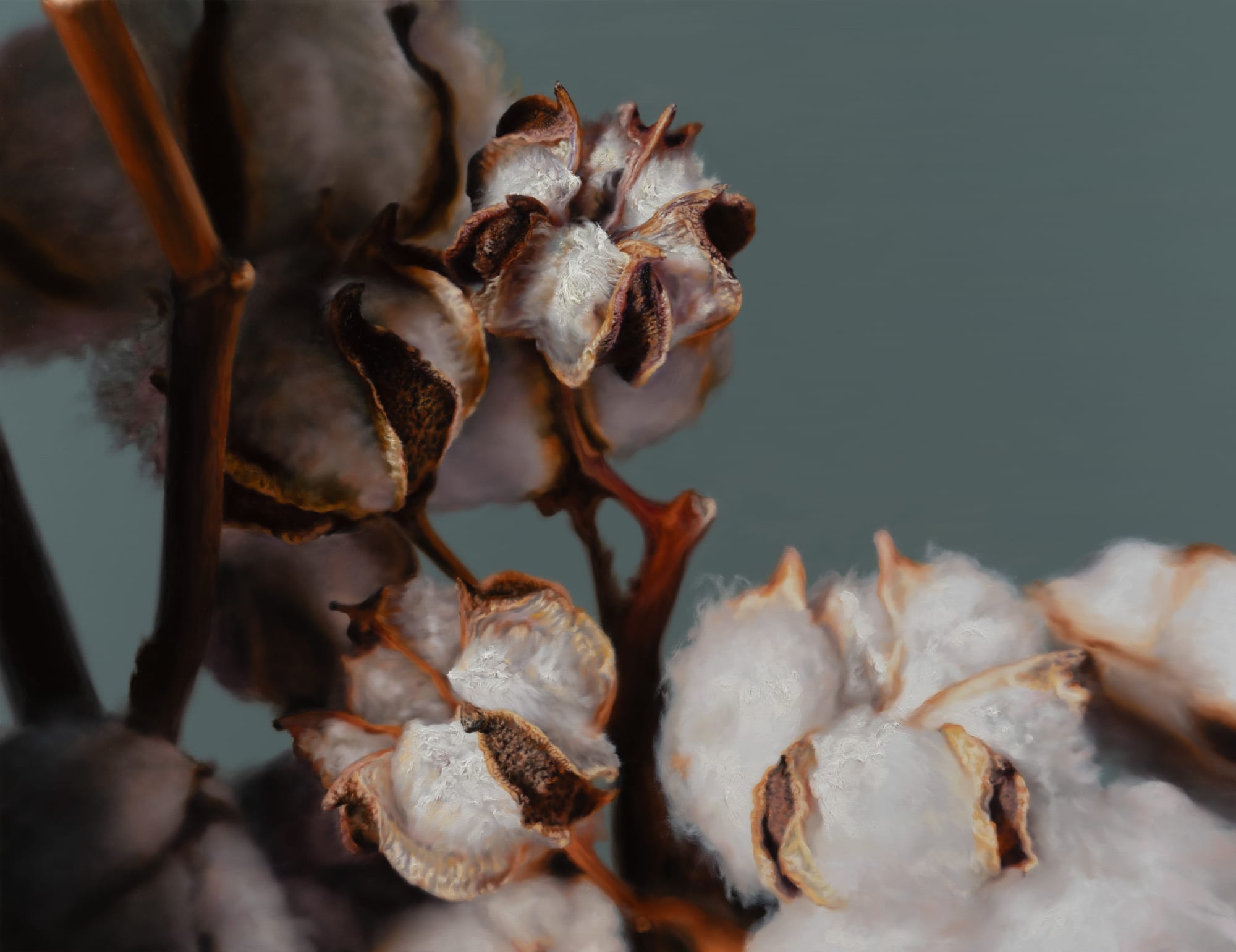 Kang Kang Hoon Cotton, 2025 Oil on Canvas 145.5 x 112 cm $ 18,000 USD