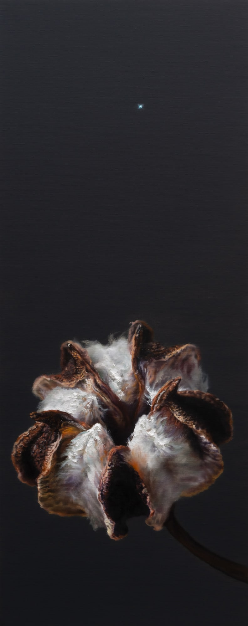 Kang Kang Hoon Polestar, 2025 Oil on Canvas 100 x 40 cm $ 6,200 USD